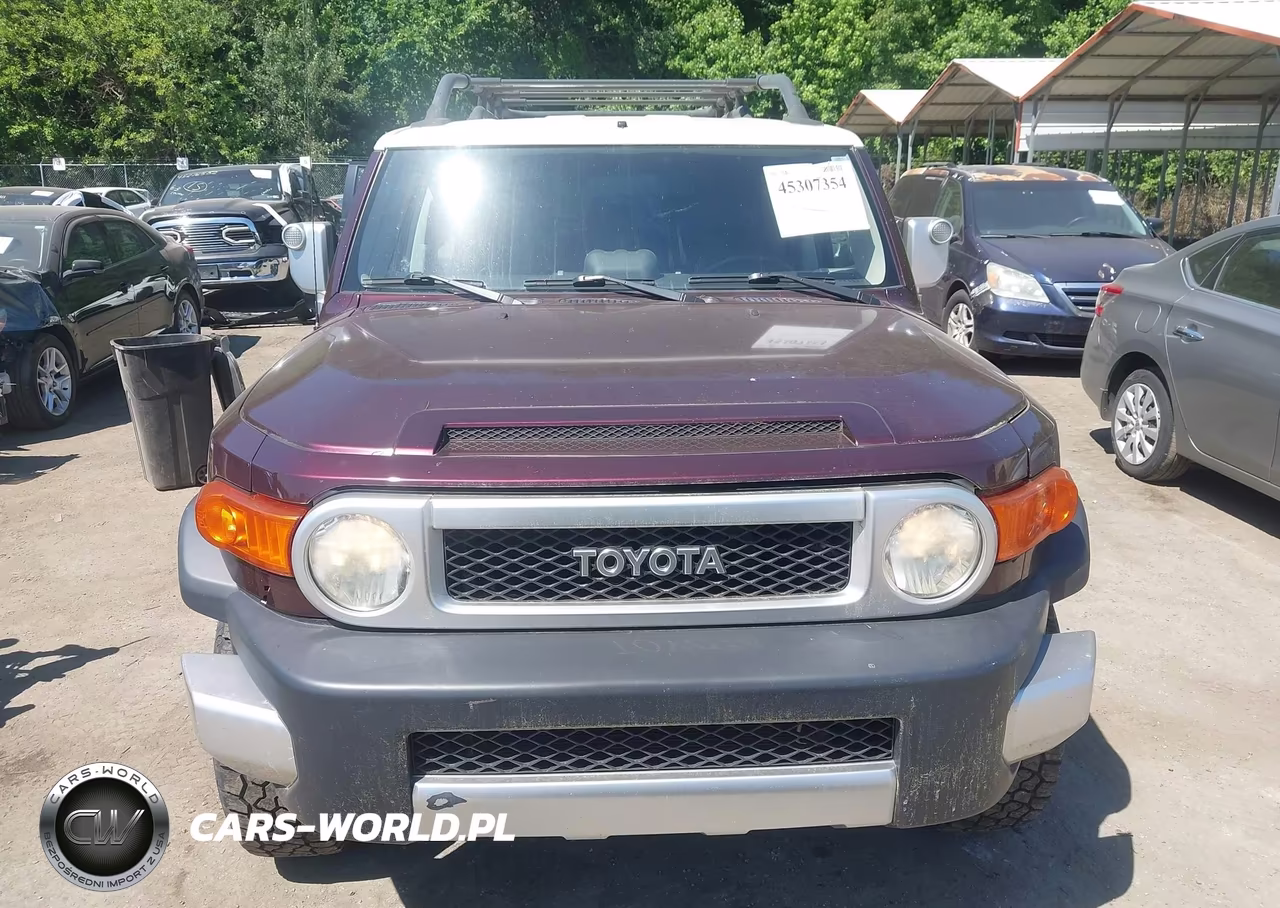 2007 Toyota Fj Cruiser VIN:JTEBU11F070036069 - 12