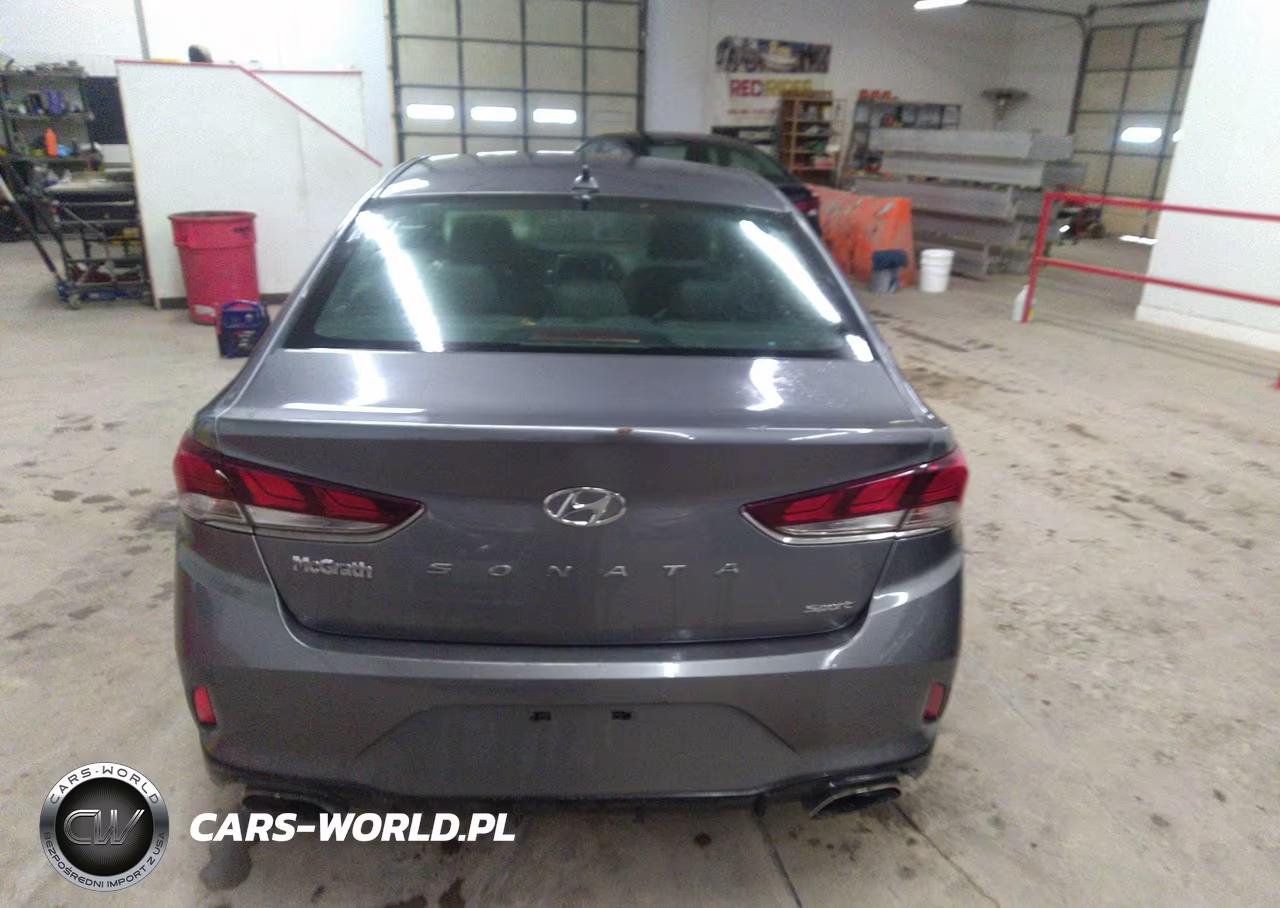 2018 Hyundai Sonata Sport+ VIN:5NPE34AF0JH716117 - 16