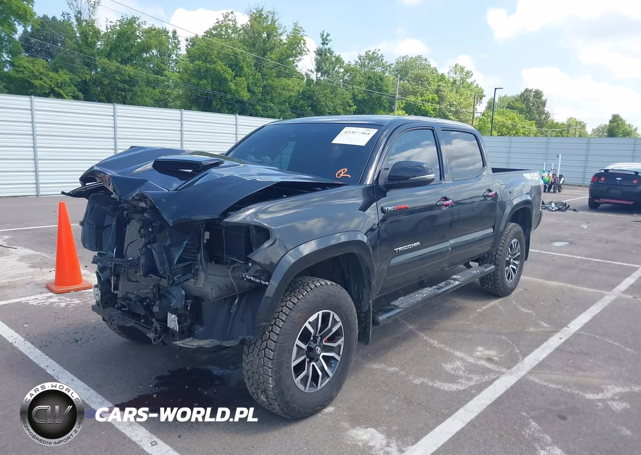 2021 Toyota Tacoma Trd Sport VIN:3TYCZ5AN7MT010784 - 6