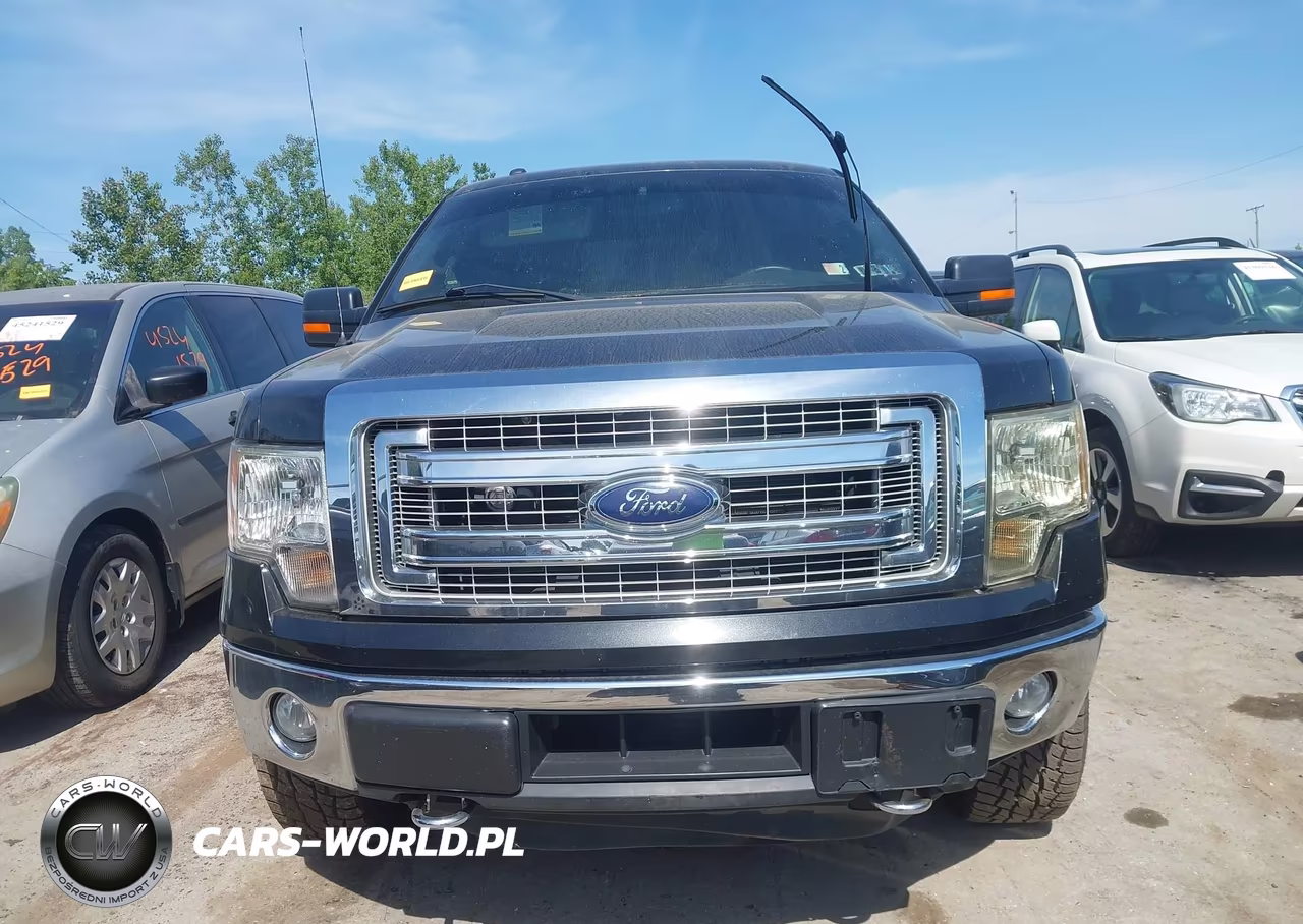 2014 Ford F-150 Xlt VIN:1FTFW1ET7EFA65238 - 12