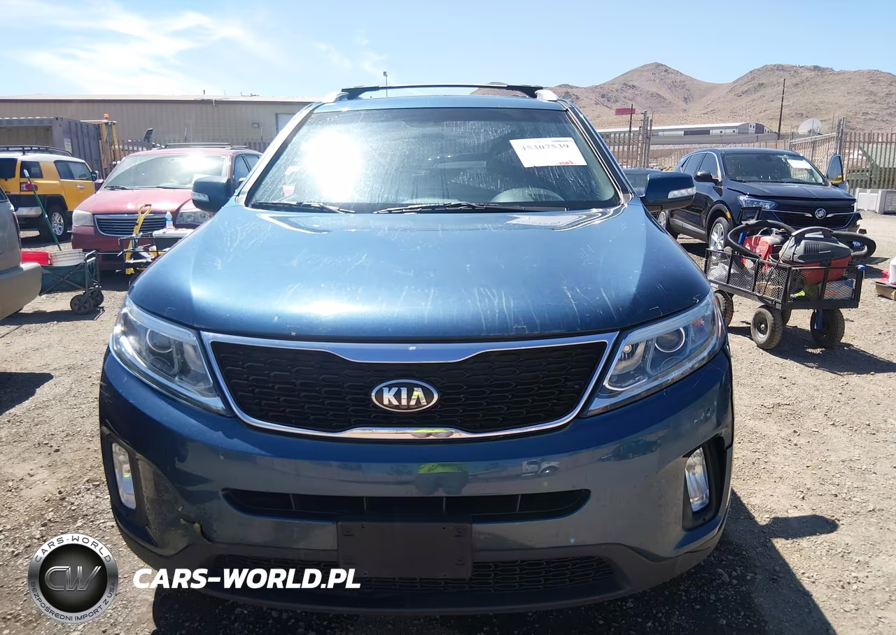 2014 Kia Sorento Lx VIN:5XYKTDA65EG442798 - 12