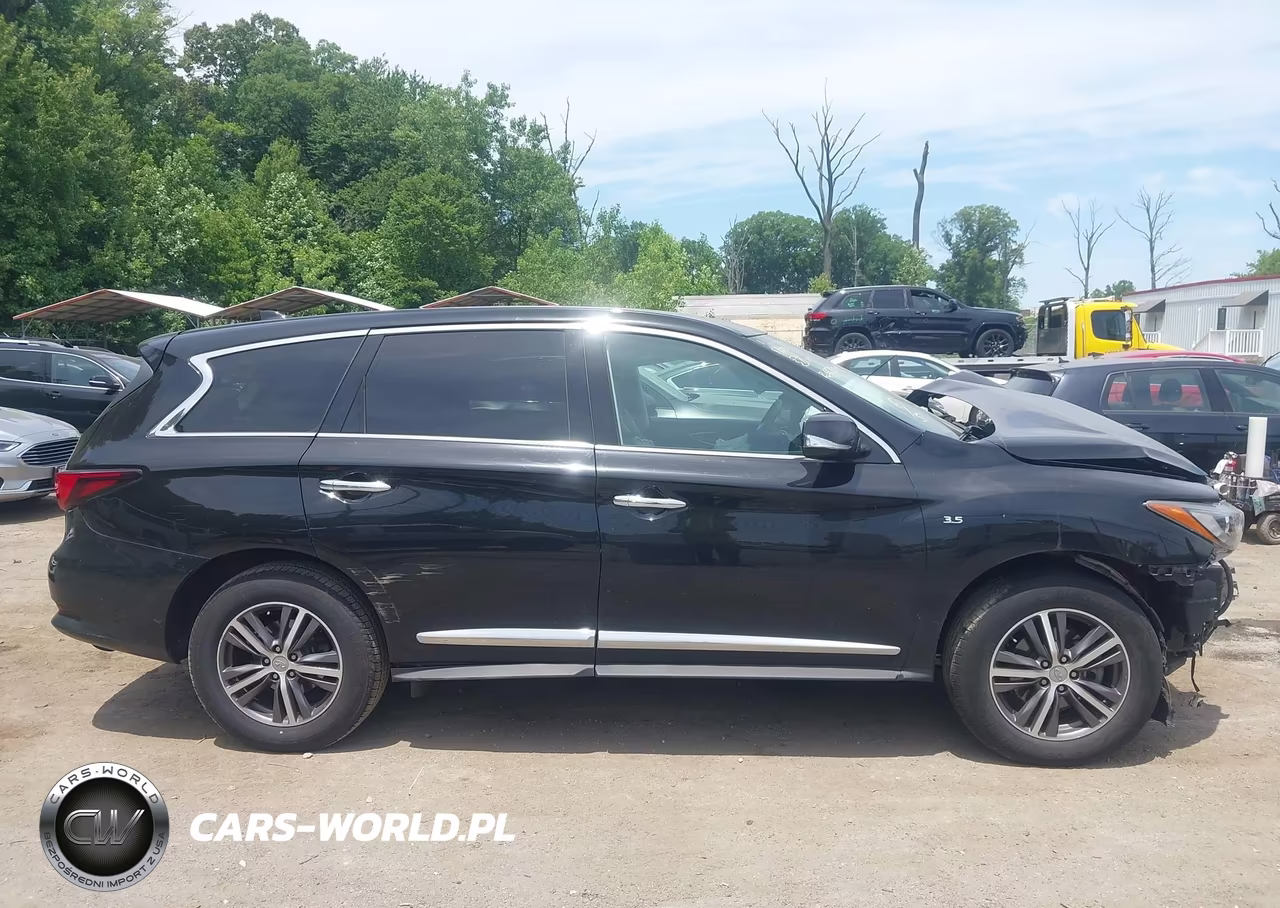 2019 Infiniti Qx60 Pure VIN:5N1DL0MM7KC552002 - 13