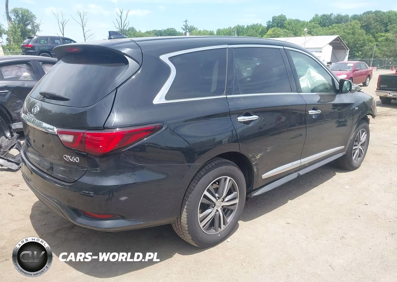 2019 Infiniti Qx60 Pure VIN:5N1DL0MM7KC552002 - 4