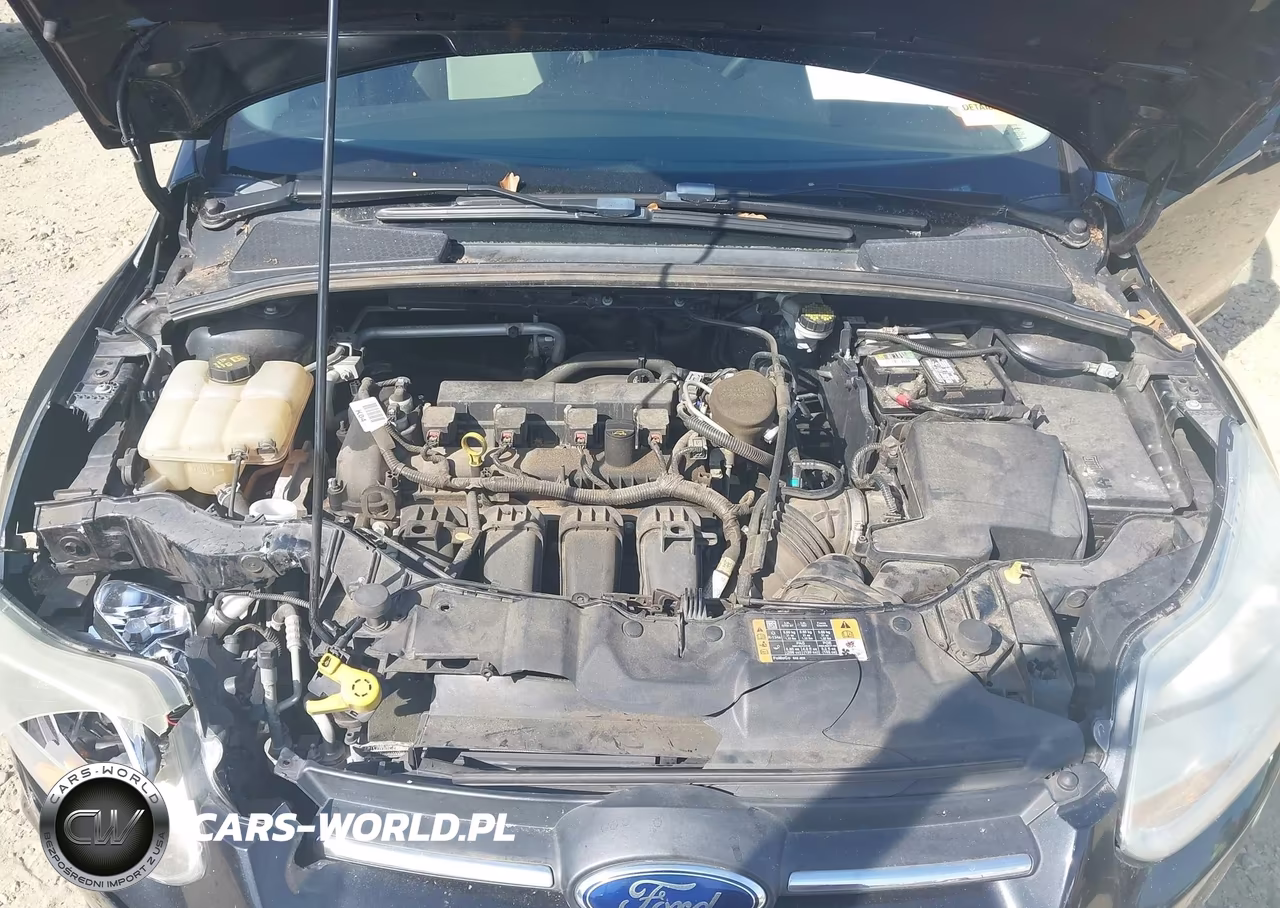 2014 Ford Focus Se VIN:1FADP3F2XEL425454 - 10