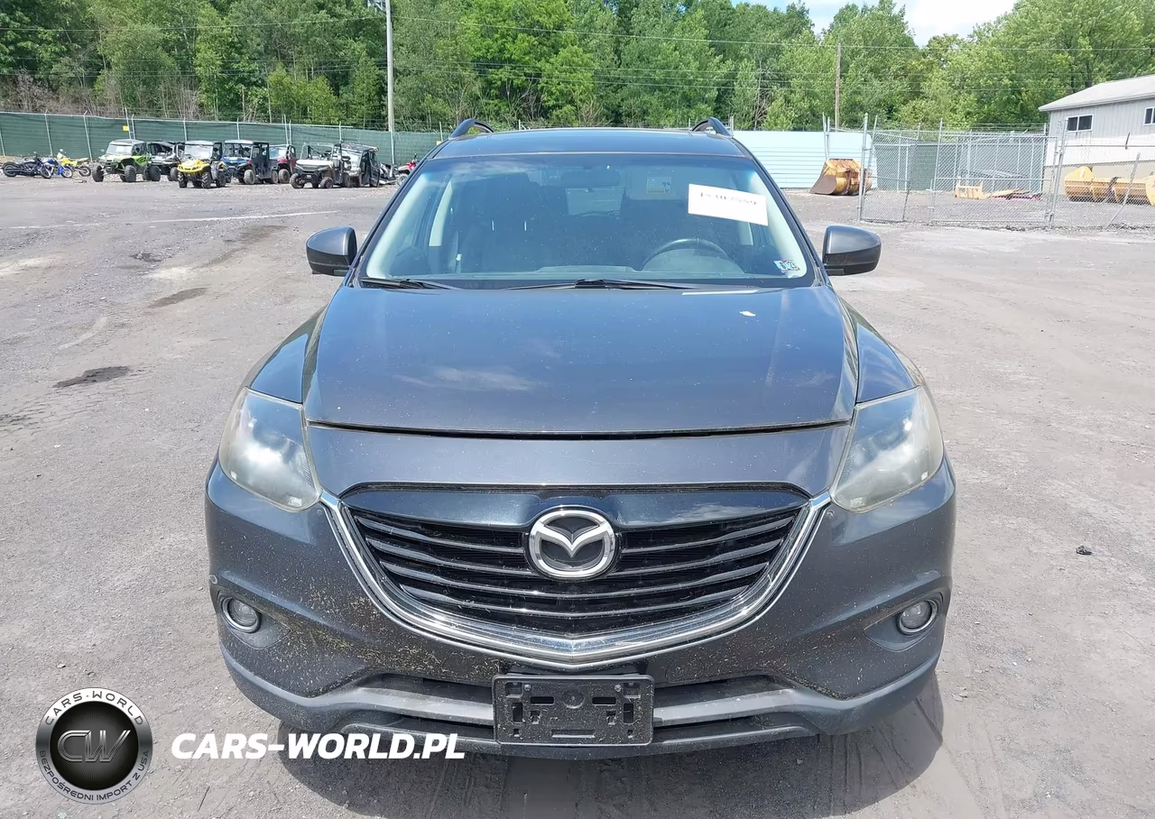 2014 Mazda Cx-9 Touring VIN:JM3TB3CV7E0429747 - 12