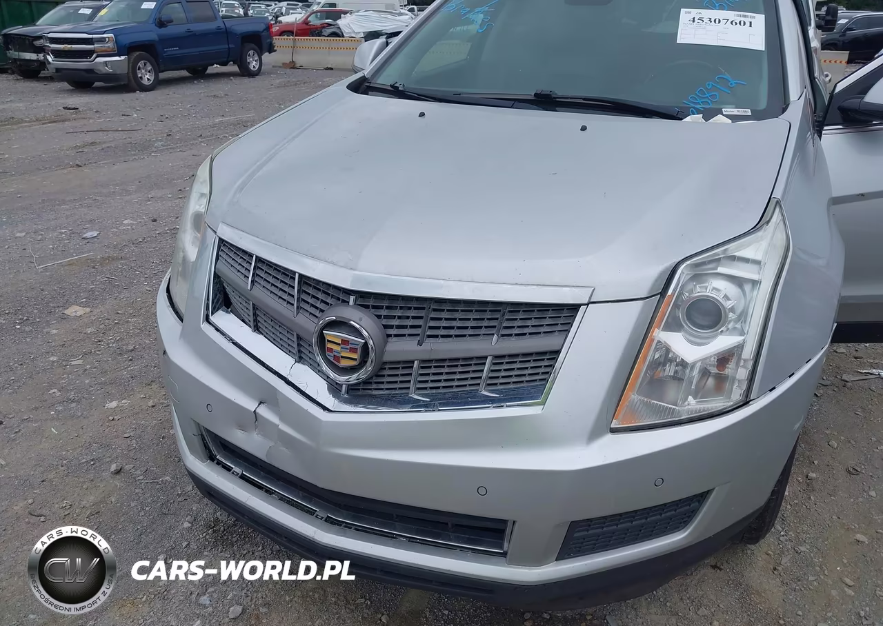 2010 Cadillac Srx Luxury Collection VIN:3GYFNAEY0AS618892 - 6