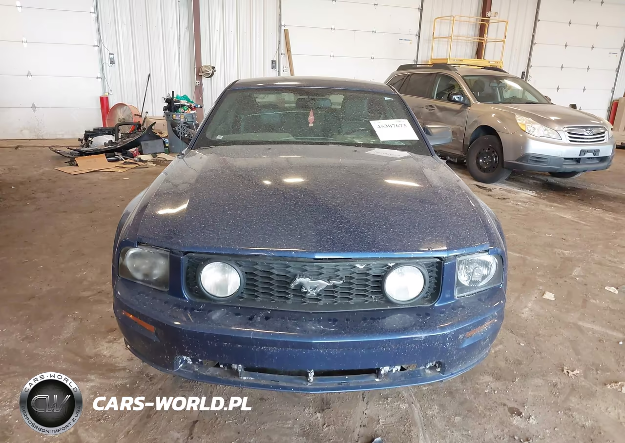 2008 Ford Mustang Gt Deluxe-Gt Premium VIN:1ZVHT82H285182839 - 12