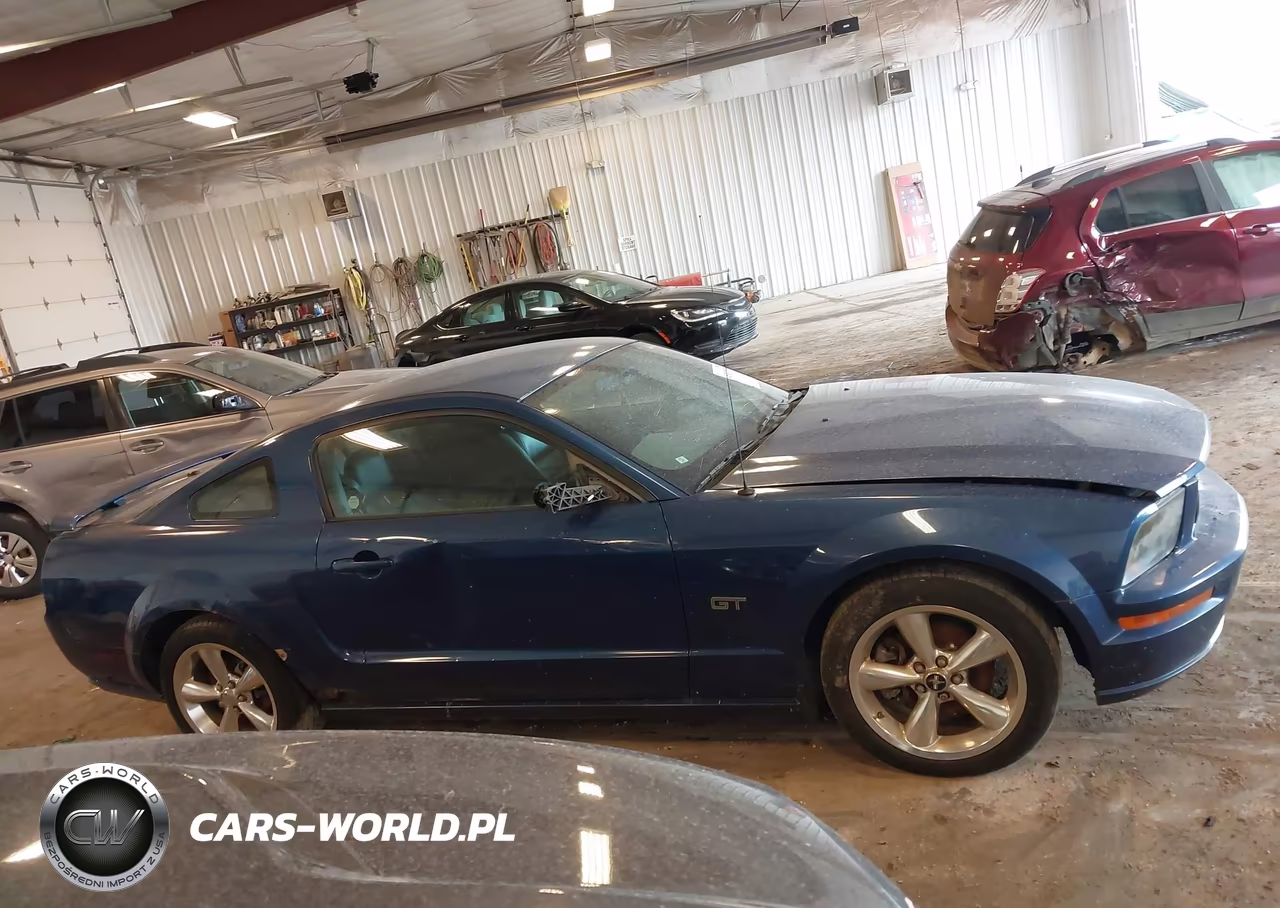 2008 Ford Mustang Gt Deluxe-Gt Premium VIN:1ZVHT82H285182839 - 13