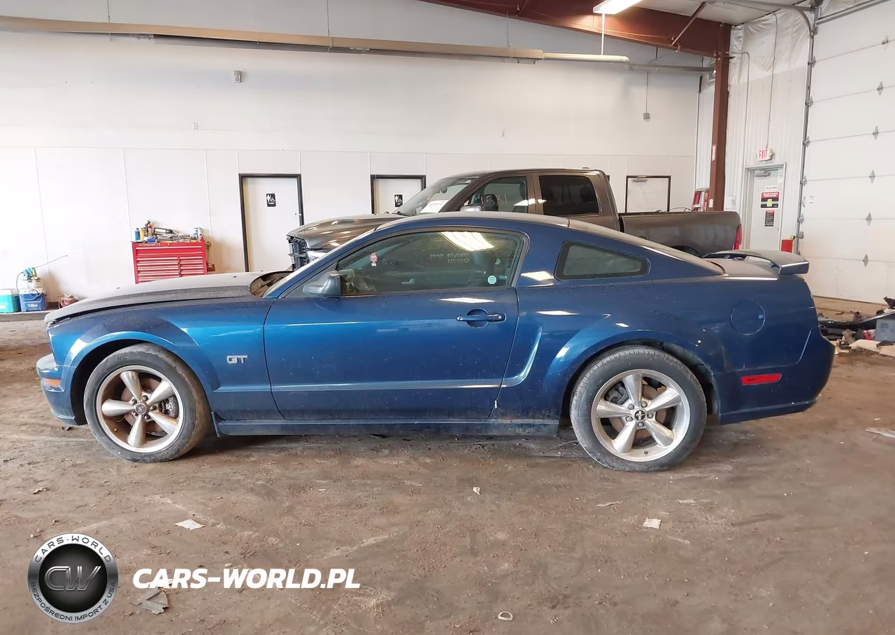 2008 Ford Mustang Gt Deluxe-Gt Premium VIN:1ZVHT82H285182839 - 14
