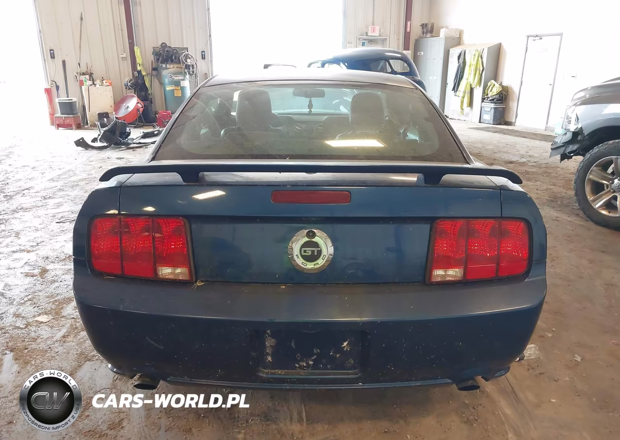 2008 Ford Mustang Gt Deluxe-Gt Premium VIN:1ZVHT82H285182839 - 16