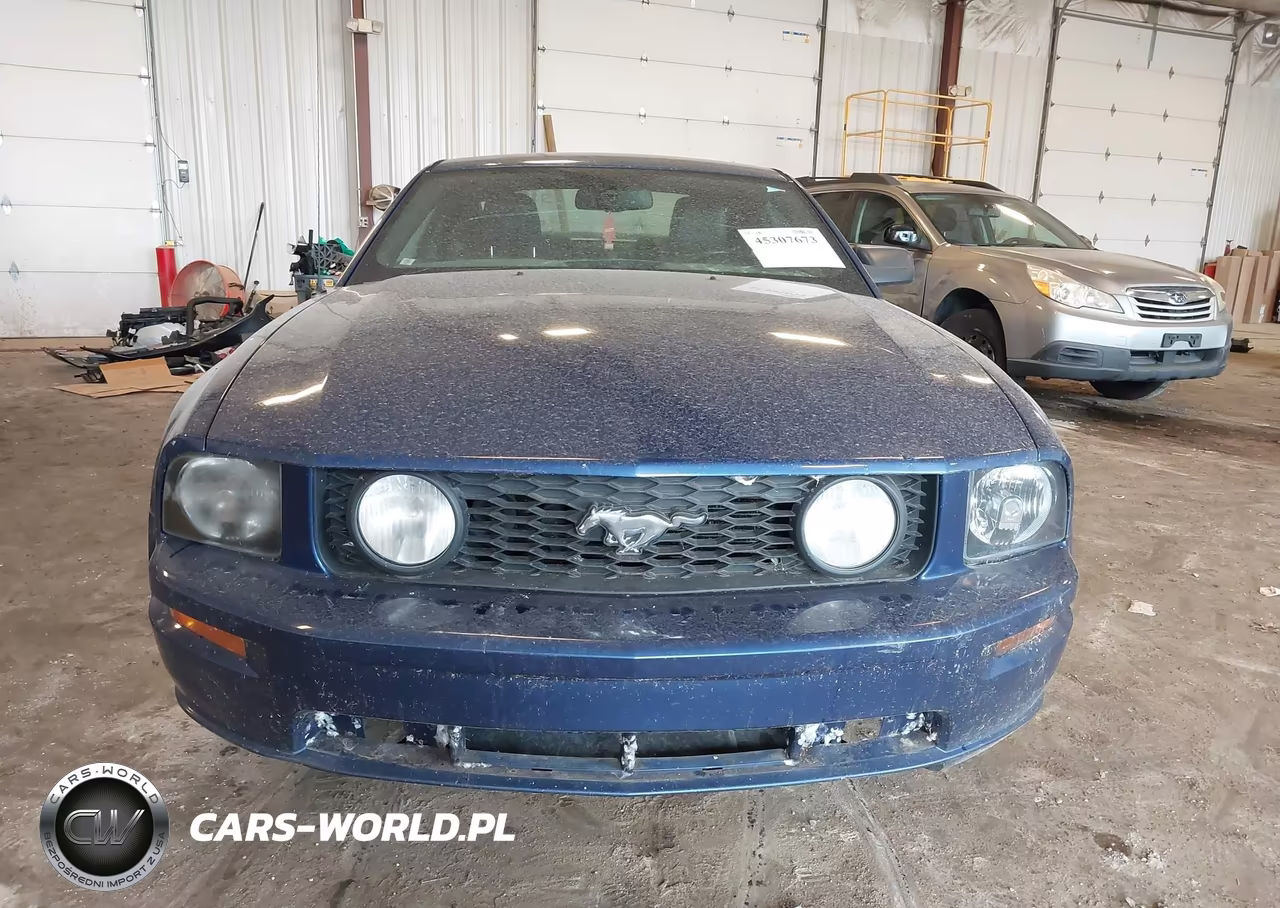 2008 Ford Mustang Gt Deluxe-Gt Premium VIN:1ZVHT82H285182839 - 6