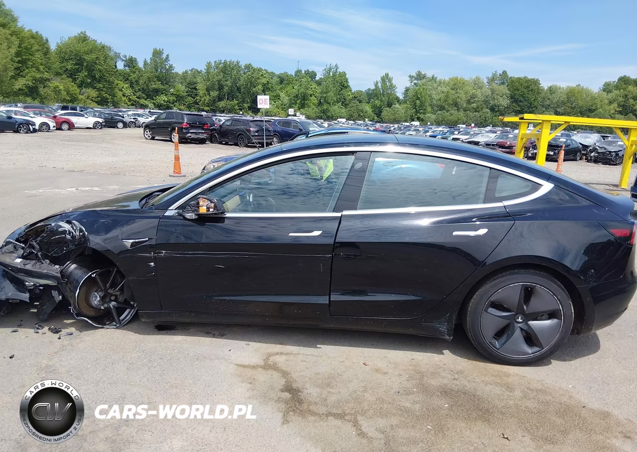 2019 Tesla Model 3 Long Range-Mid Range-Standard Range-Standard Range Plus VIN:5YJ3E1EA9KF306625 - 13