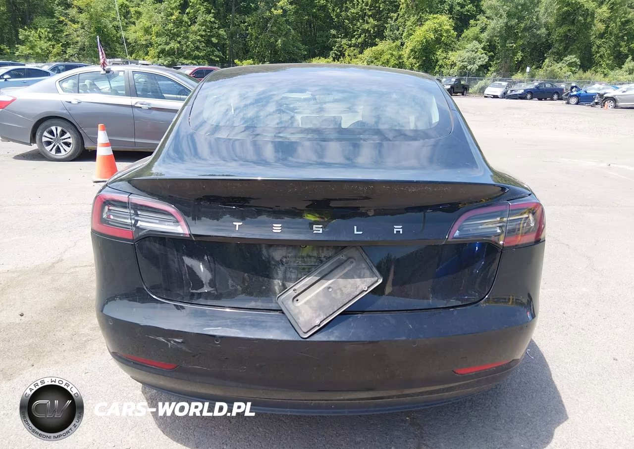 2019 Tesla Model 3 Long Range-Mid Range-Standard Range-Standard Range Plus VIN:5YJ3E1EA9KF306625 - 15
