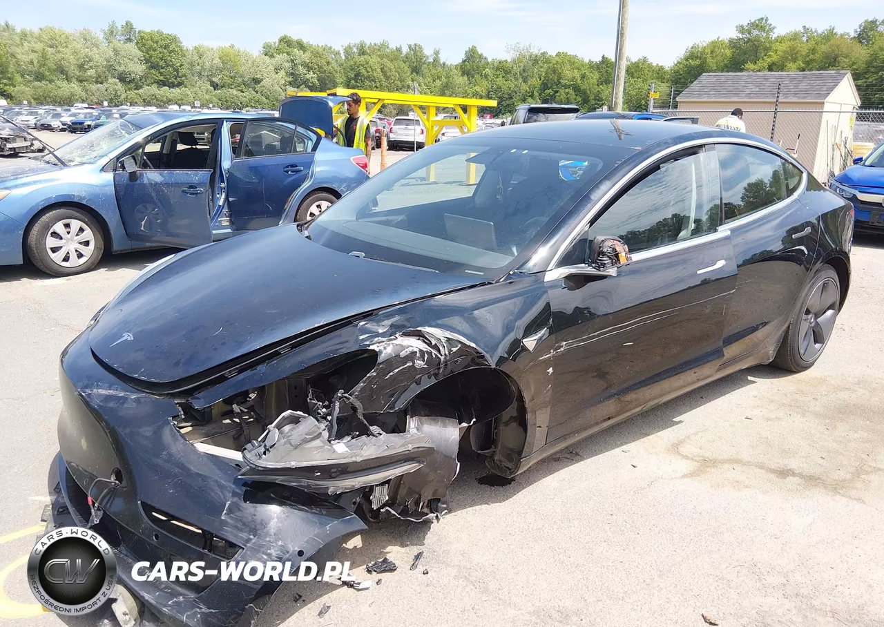 2019 Tesla Model 3 Long Range-Mid Range-Standard Range-Standard Range Plus VIN:5YJ3E1EA9KF306625 - 2