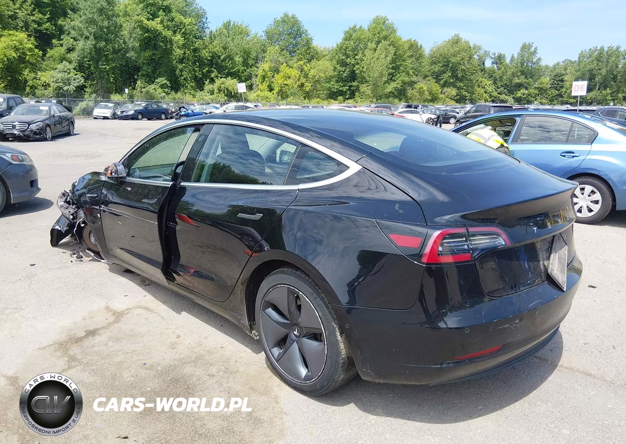 2019 Tesla Model 3 Long Range-Mid Range-Standard Range-Standard Range Plus VIN:5YJ3E1EA9KF306625 - 3