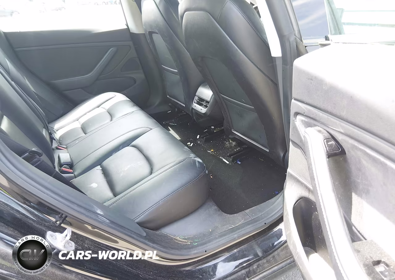 2019 Tesla Model 3 Long Range-Mid Range-Standard Range-Standard Range Plus VIN:5YJ3E1EA9KF306625 - 8