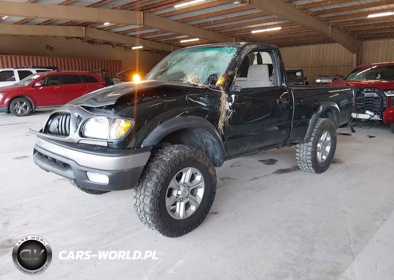 2003 Toyota Tacoma VIN:5TEPM62N43Z154651 - 2