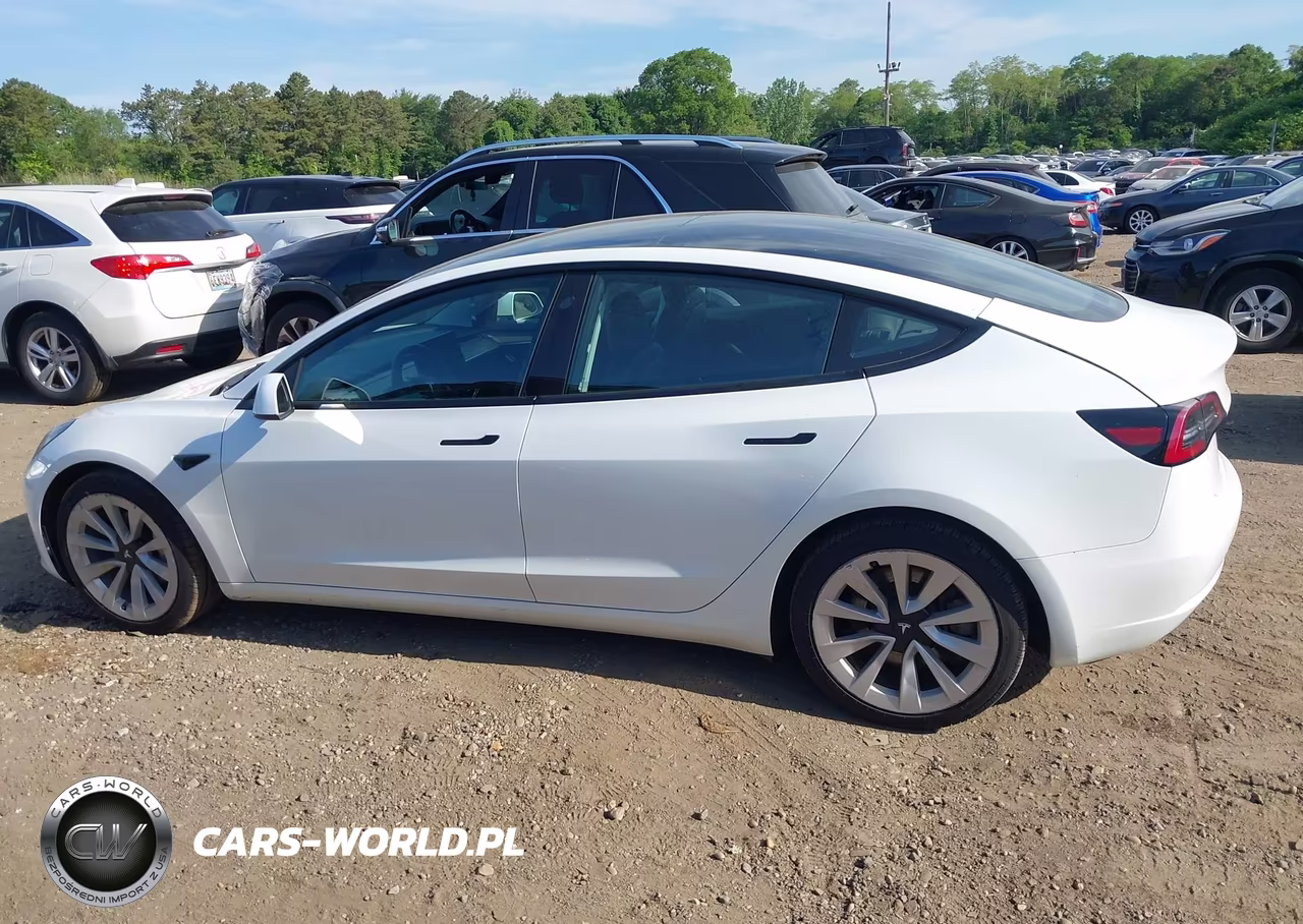 2023 Tesla Model 3 Rear-Wheel Drive VIN:5YJ3E1EA4PF448761 - 14