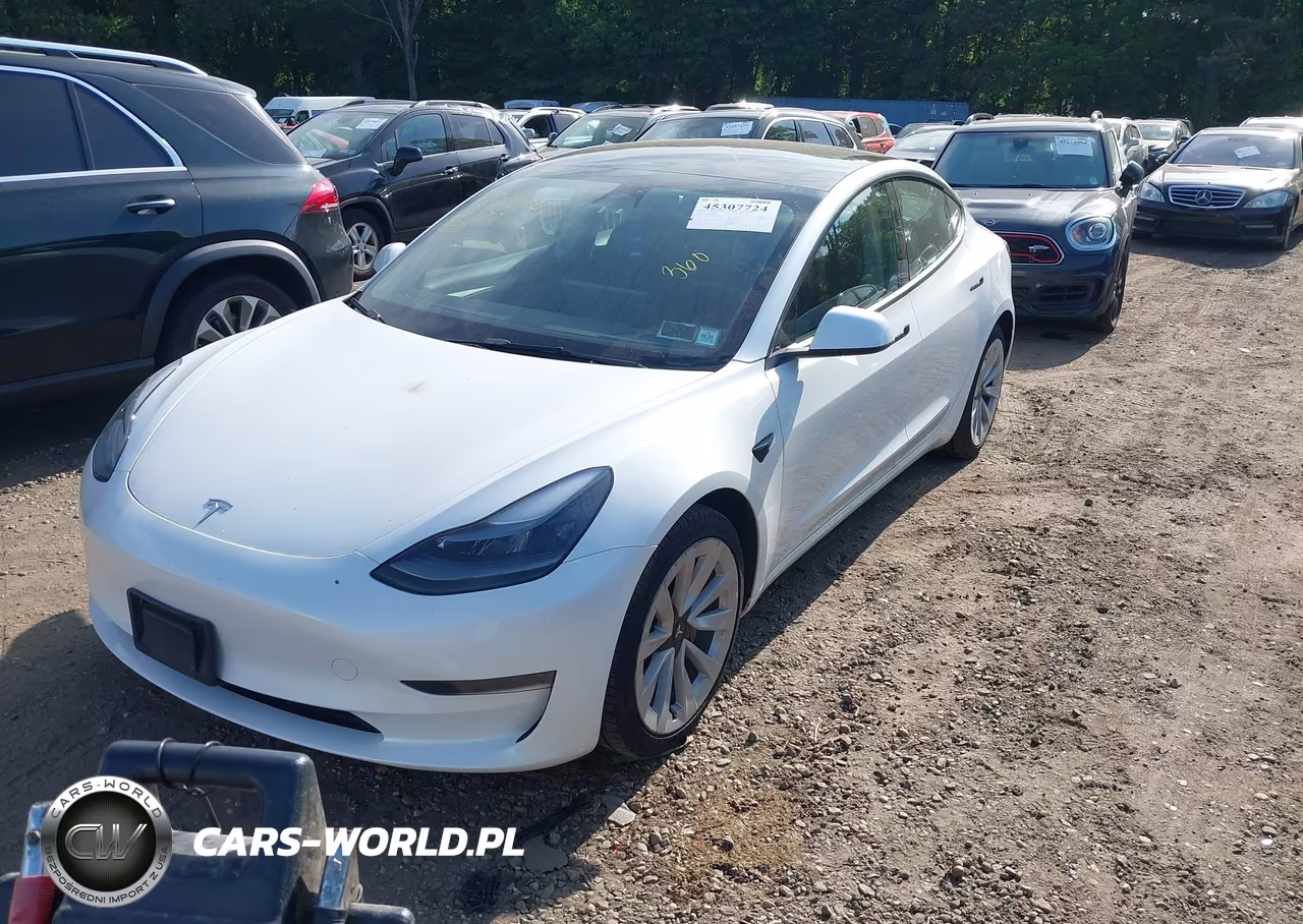 2023 Tesla Model 3 Rear-Wheel Drive VIN:5YJ3E1EA4PF448761 - 2