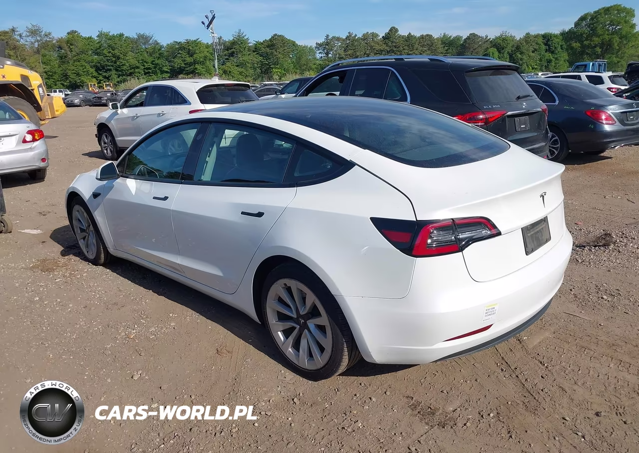 2023 Tesla Model 3 Rear-Wheel Drive VIN:5YJ3E1EA4PF448761 - 3