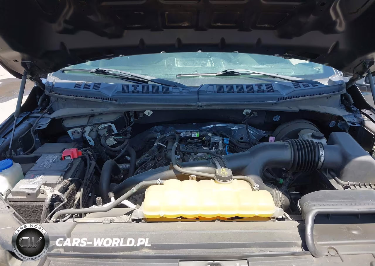 2020 Ford F-150 Xl VIN:1FTEX1CP4LFA18146 - 10