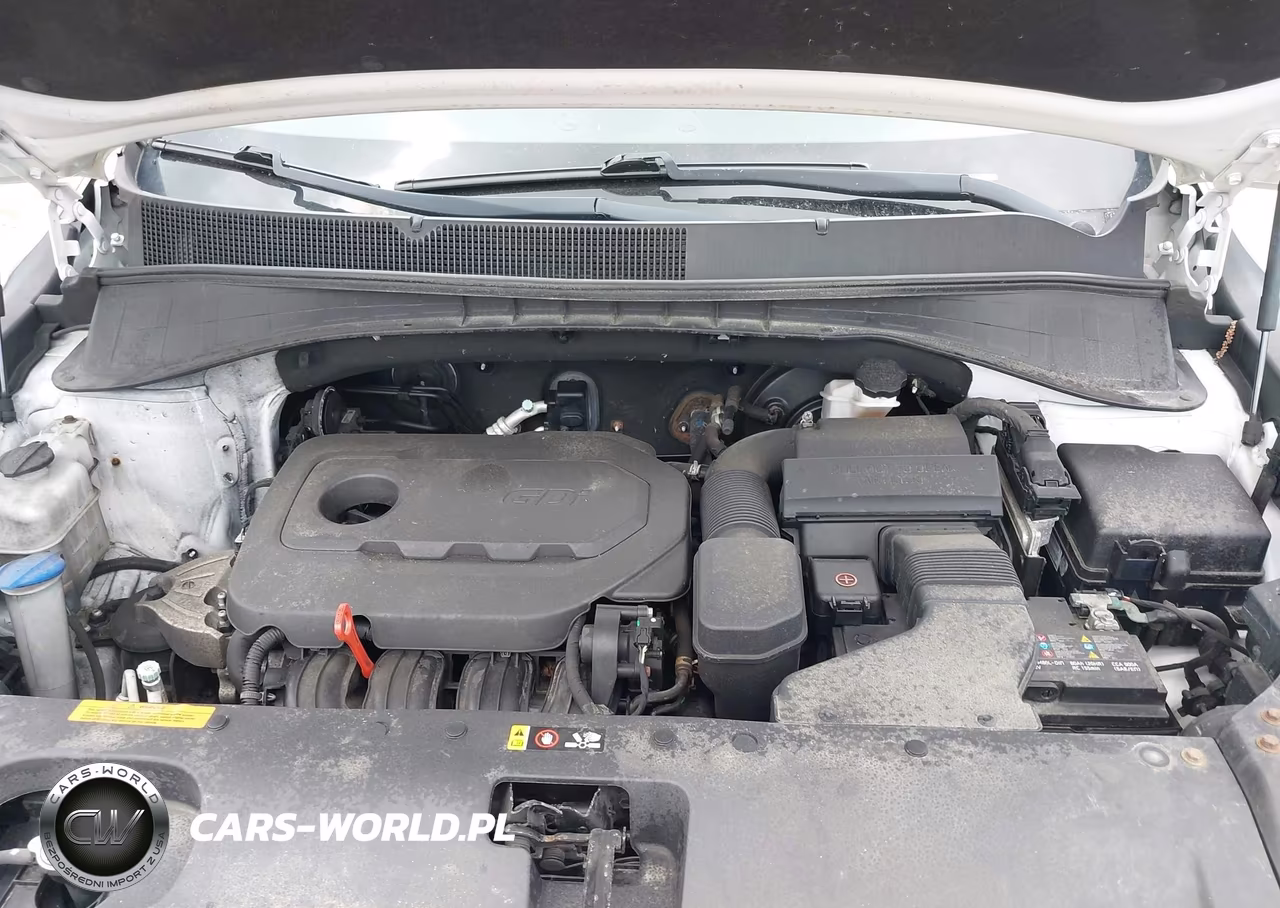 2018 Kia Sorento 2.4L Lx VIN:5XYPGDA33JG425962 - 10