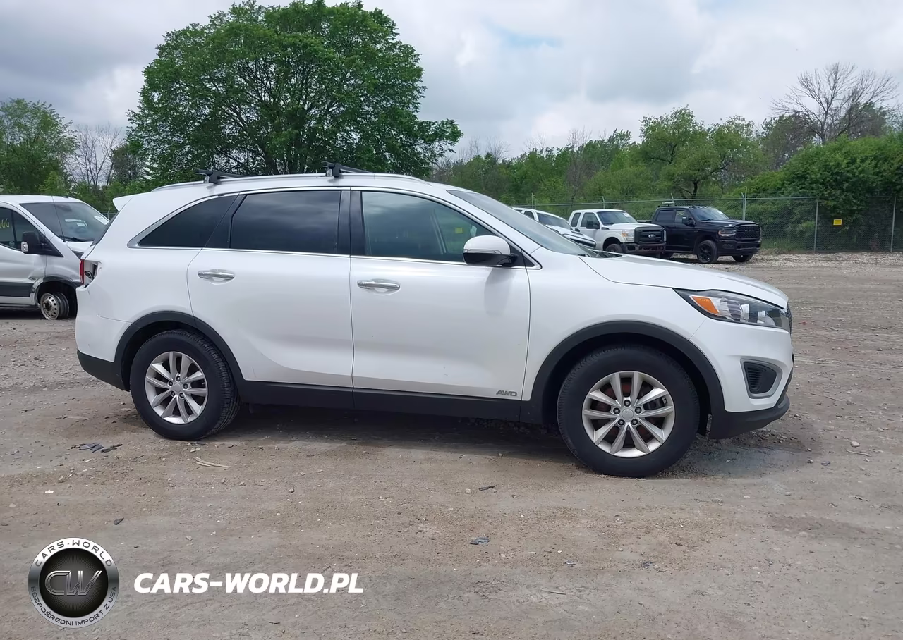 2018 Kia Sorento 2.4L Lx VIN:5XYPGDA33JG425962 - 13