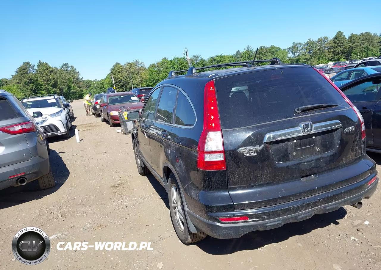 2010 Honda Cr-V Ex VIN:5J6RE4H52AL079584 - 3