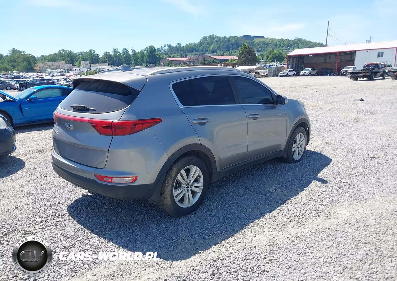 2019 Kia Sportage Lx VIN:KNDPM3AC1K7622260 - 4