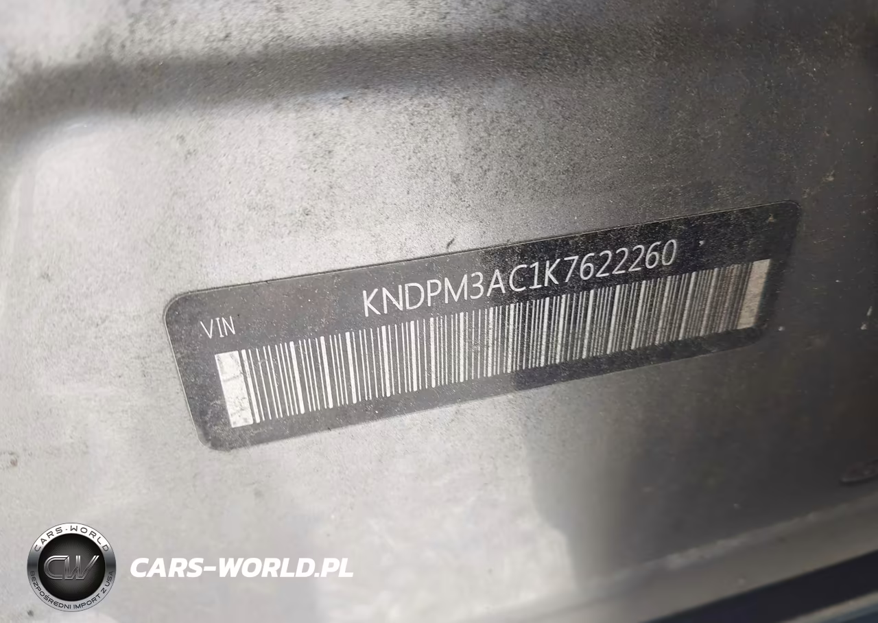 2019 Kia Sportage Lx VIN:KNDPM3AC1K7622260 - 9