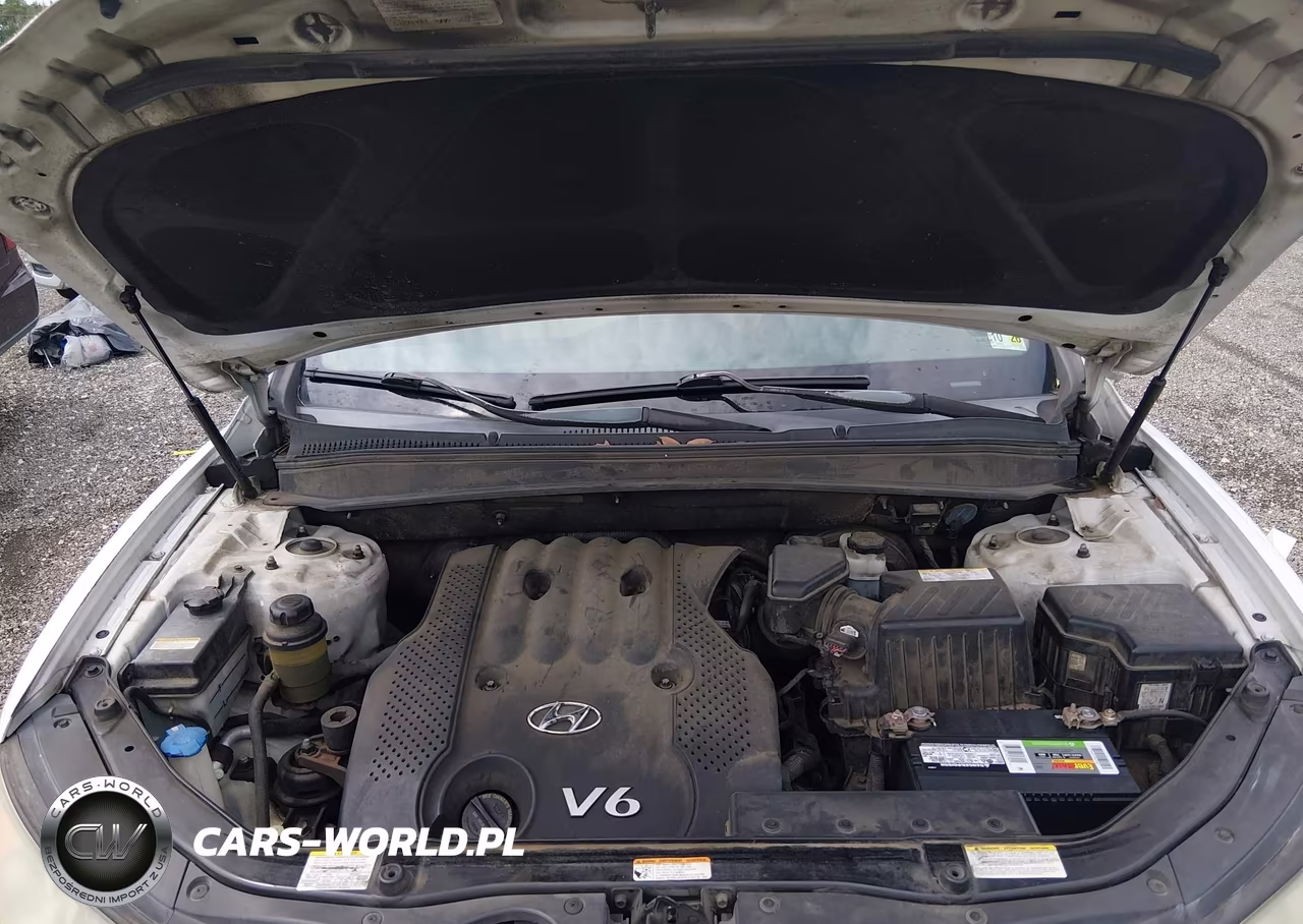 2007 Hyundai Santa Fe Gls VIN:5NMSG13D87H123385 - 10