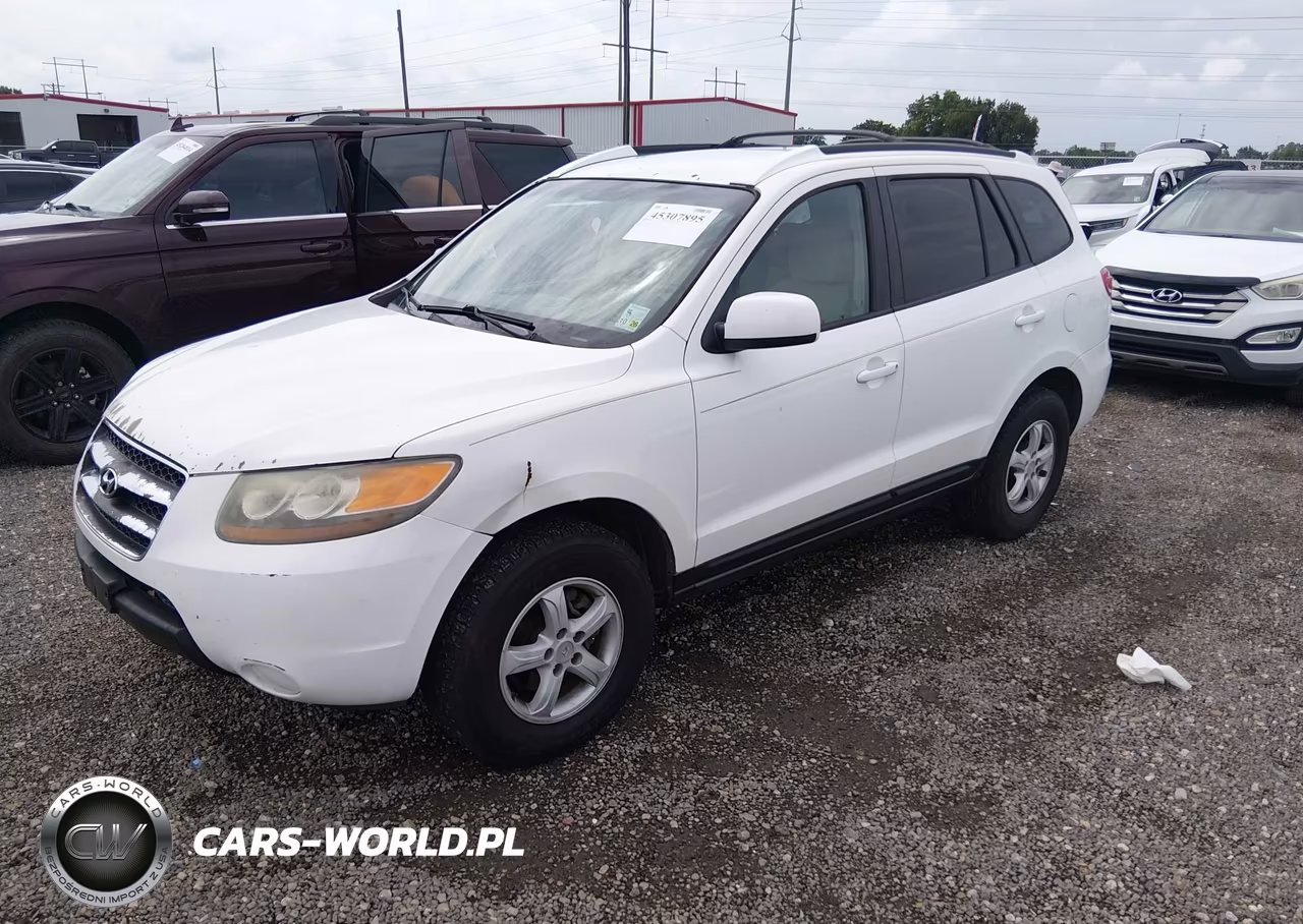2007 Hyundai Santa Fe Gls VIN:5NMSG13D87H123385 - 2