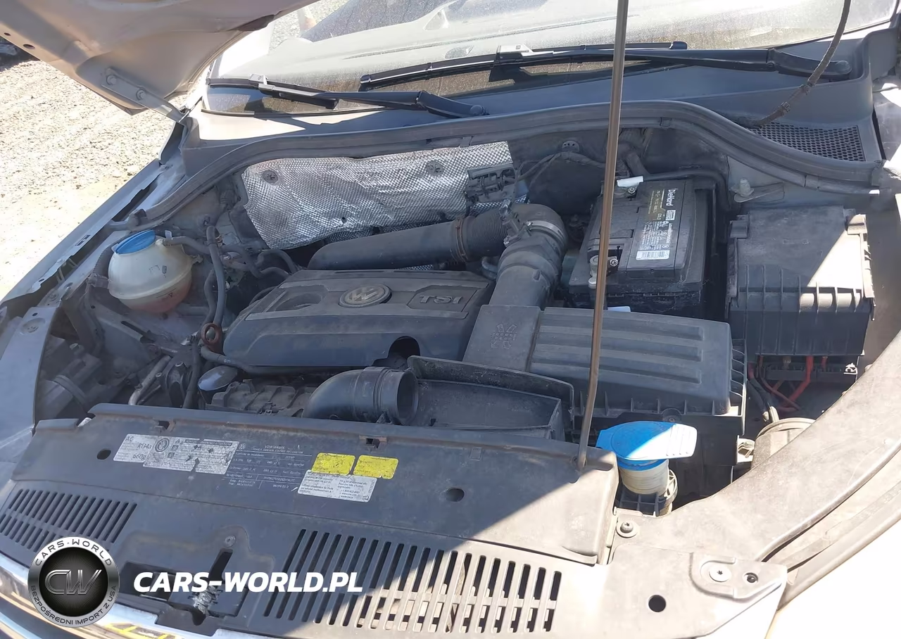 2011 Volkswagen Tiguan S VIN:WVGAV7AX8BW552383 - 10