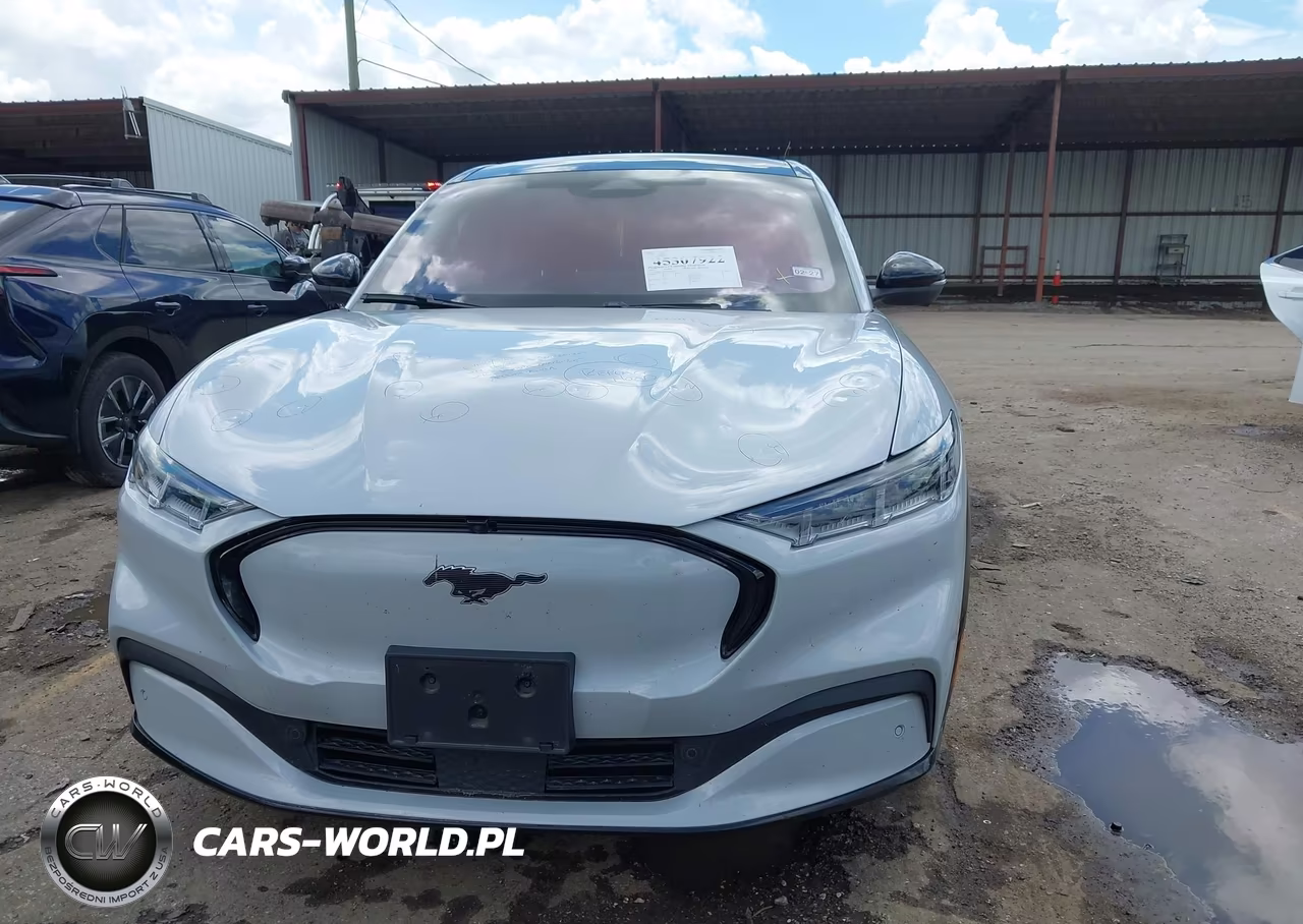 2021 Ford Mustang Mach-E Premium VIN:3FMTK3SU7MMA01346 - 13