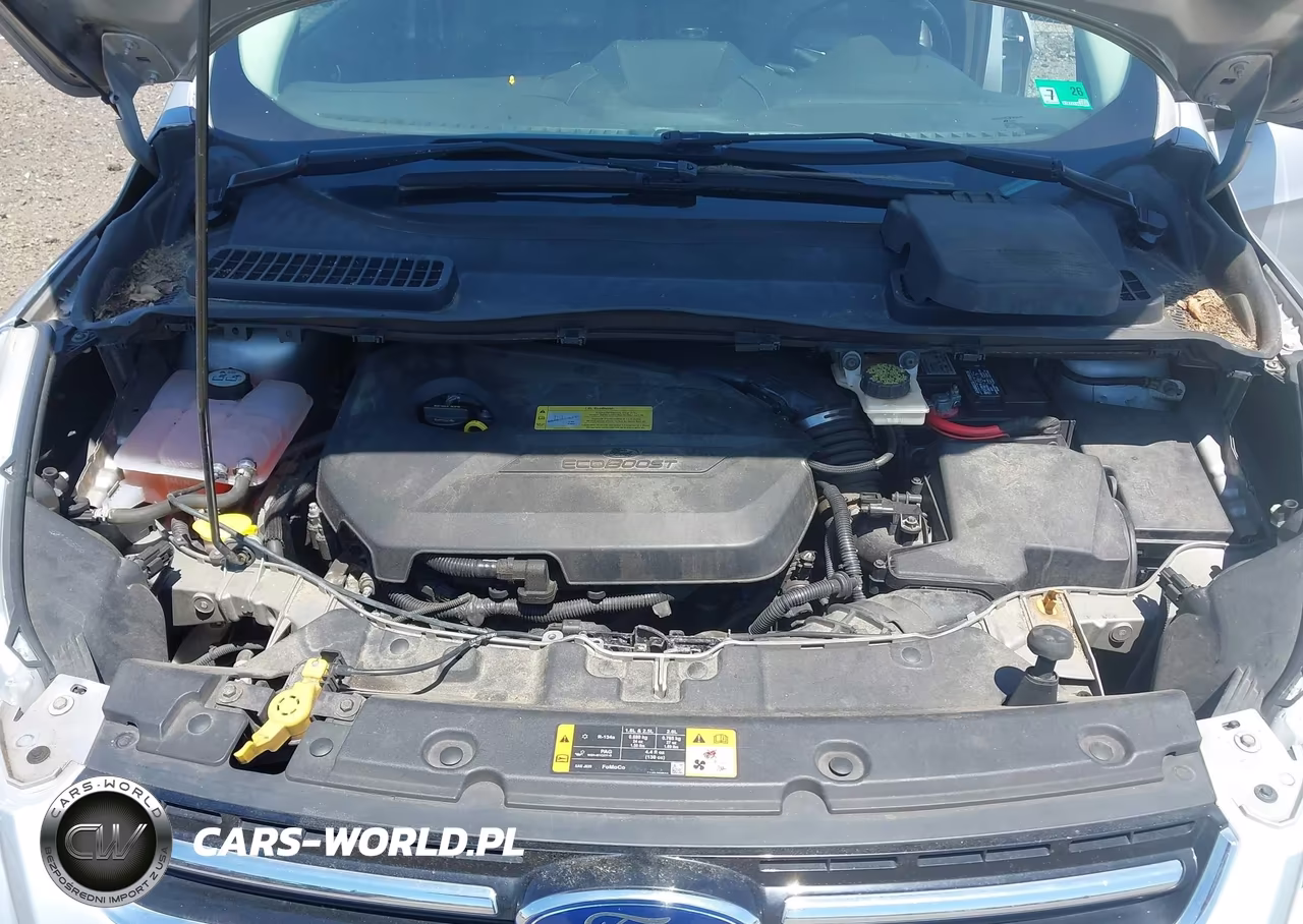 2013 Ford Escape Sel VIN:1FMCU9HX1DUC90430 - 10