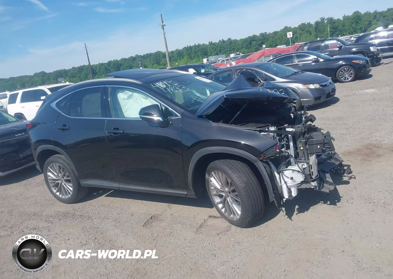 2023 Lexus Nx 350 Luxury VIN:2T2HGCEZ3PC024893 - 13