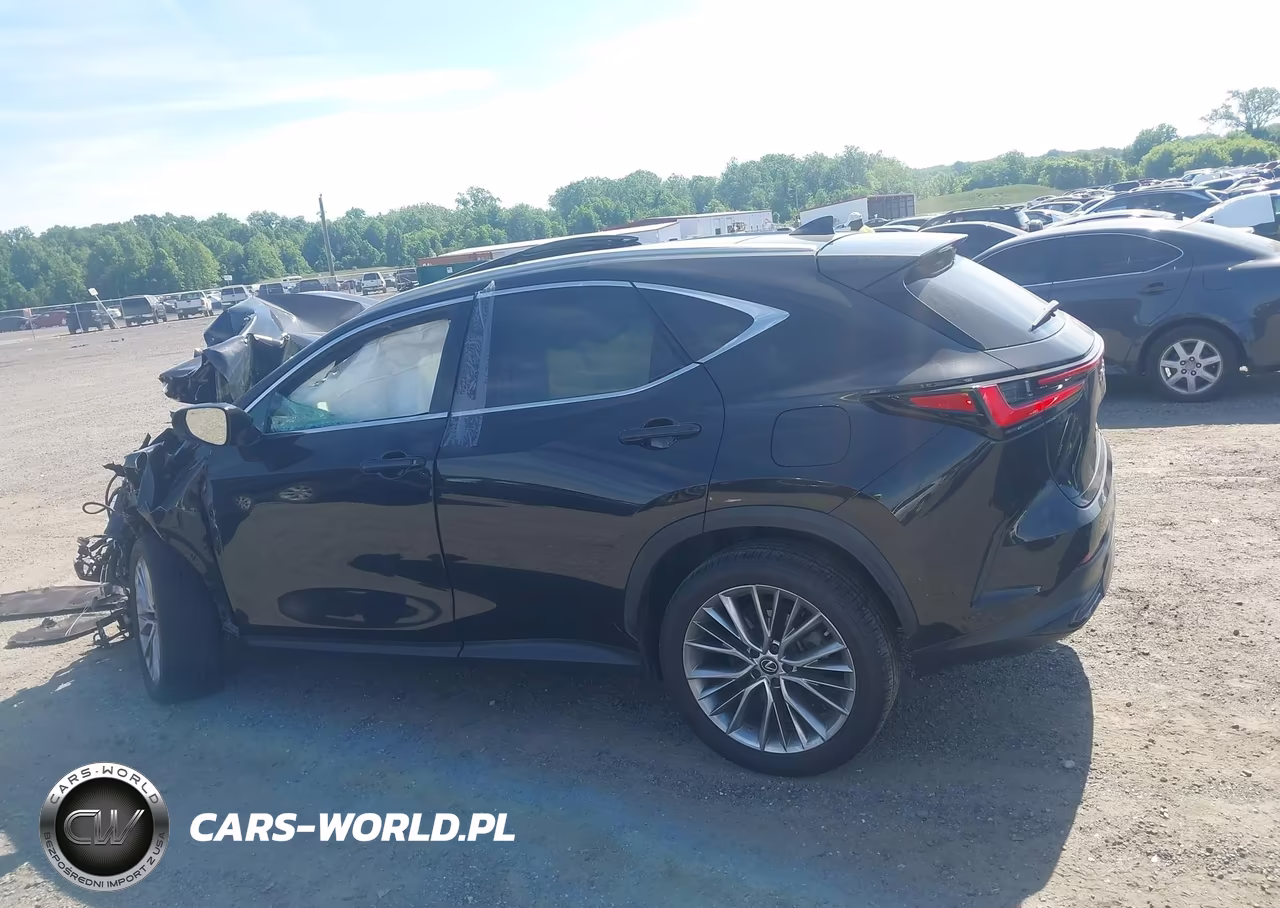 2023 Lexus Nx 350 Luxury VIN:2T2HGCEZ3PC024893 - 14