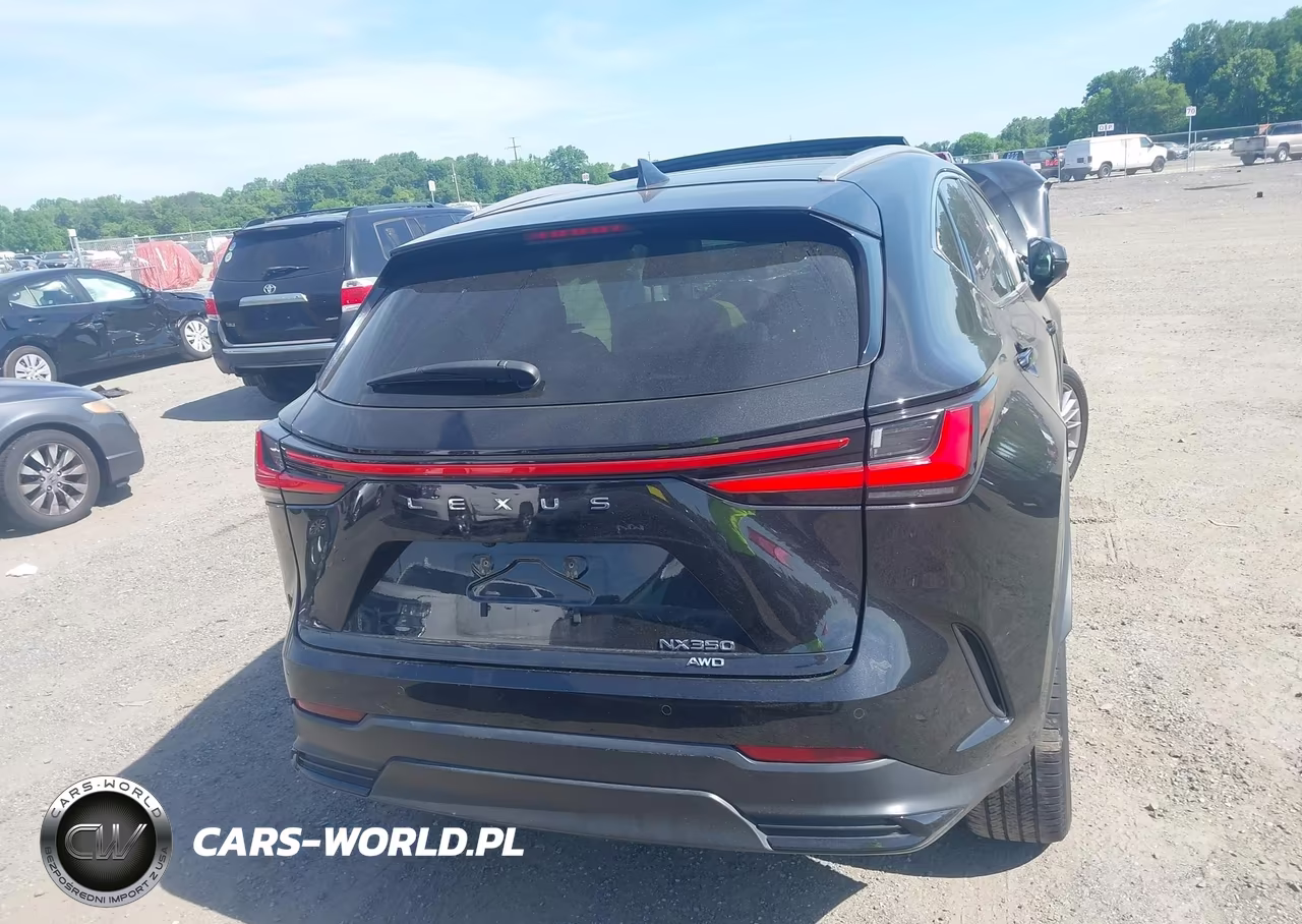 2023 Lexus Nx 350 Luxury VIN:2T2HGCEZ3PC024893 - 16