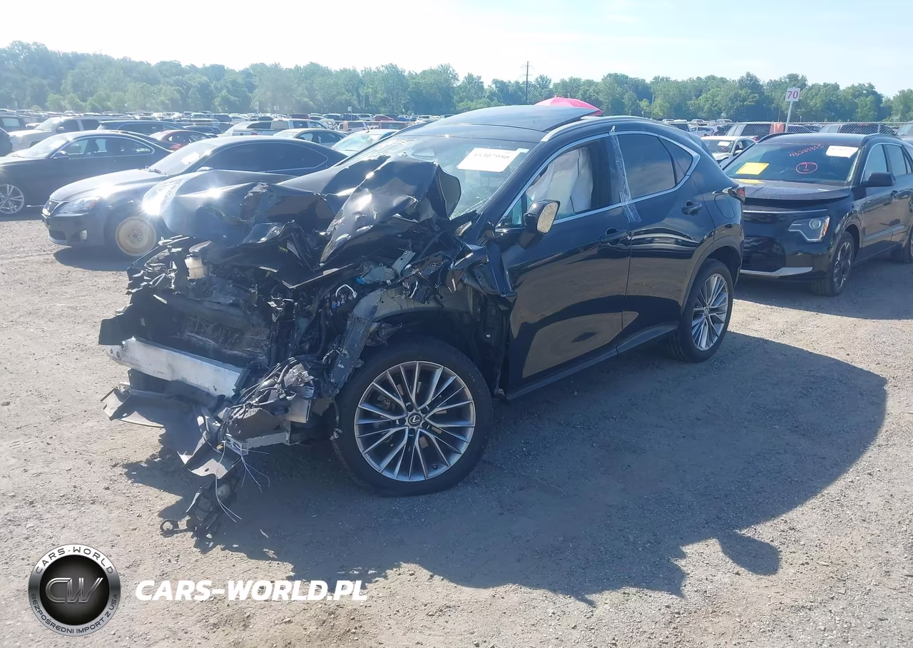 2023 Lexus Nx 350 Luxury VIN:2T2HGCEZ3PC024893 - 2