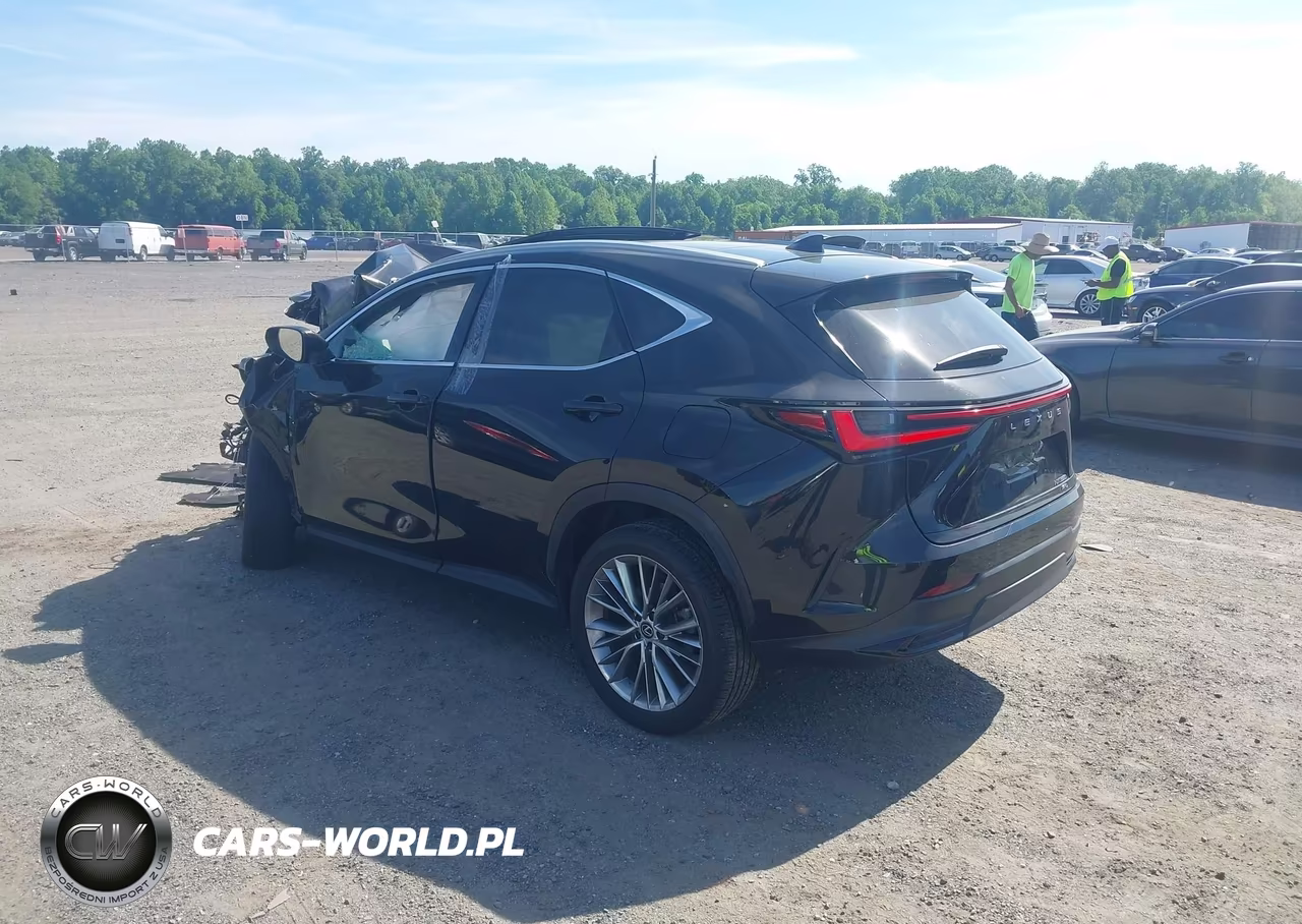 2023 Lexus Nx 350 Luxury VIN:2T2HGCEZ3PC024893 - 3