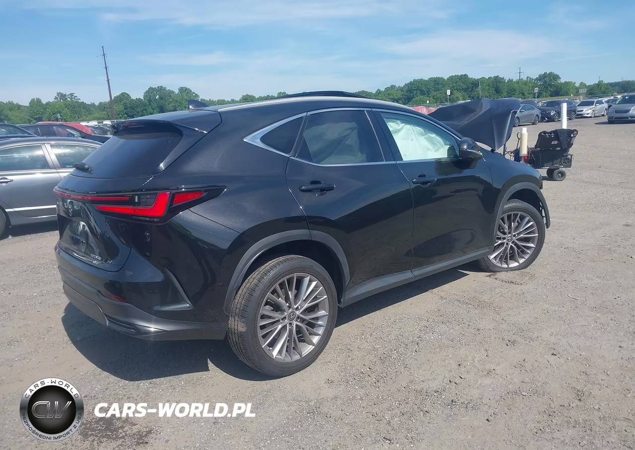 2023 Lexus Nx 350 Luxury VIN:2T2HGCEZ3PC024893 - 4