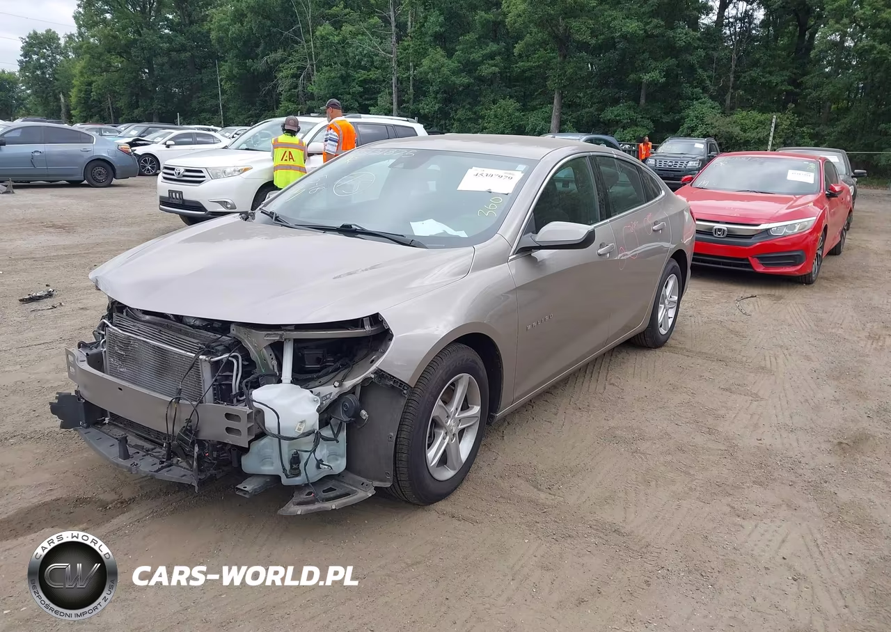 2023 Chevrolet Malibu Fwd 1Lt VIN:1G1ZD5ST0PF204703 - 2
