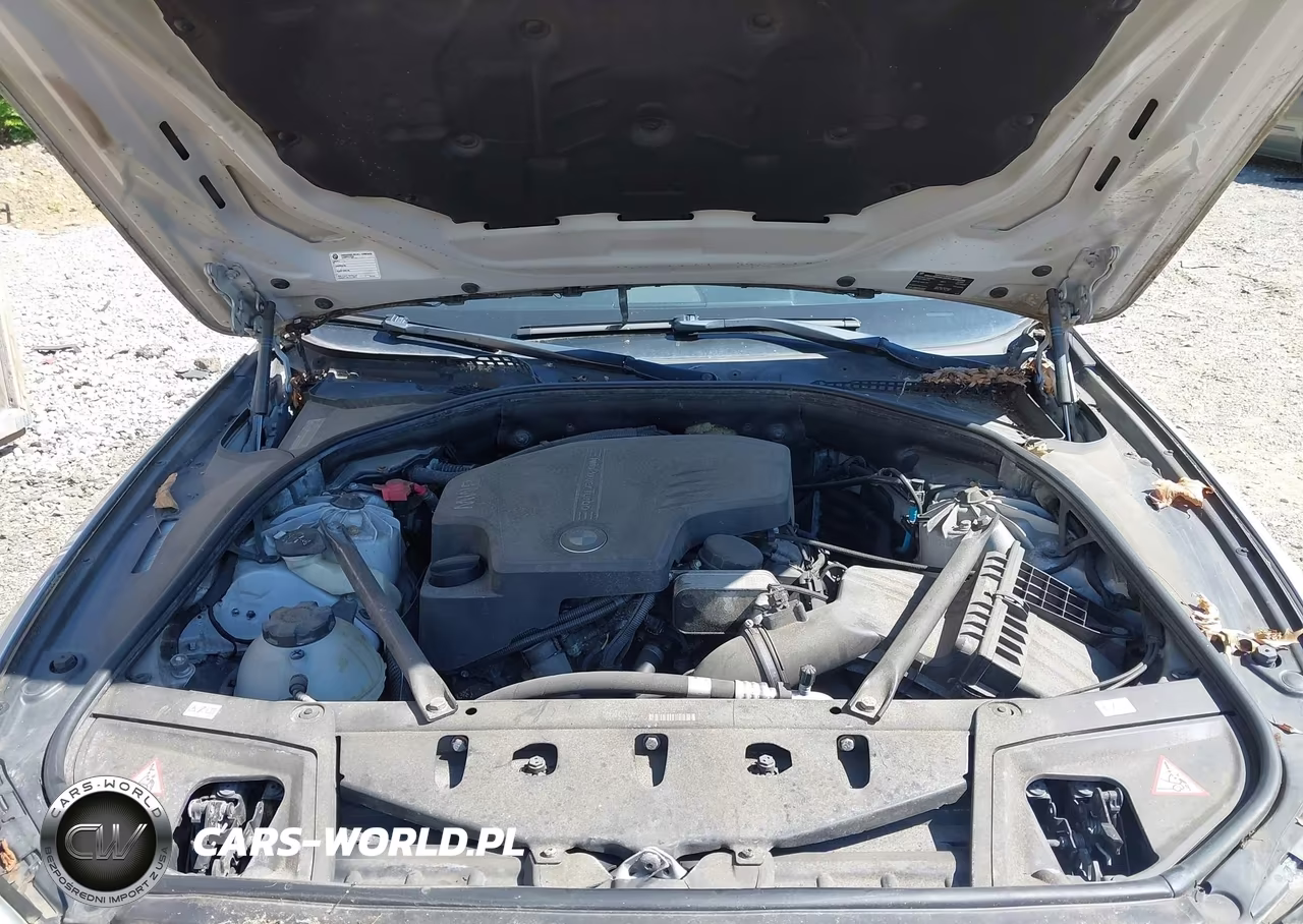 2012 BMW 528I xDrive VIN:WBAXH5C53CDW10819 - 10
