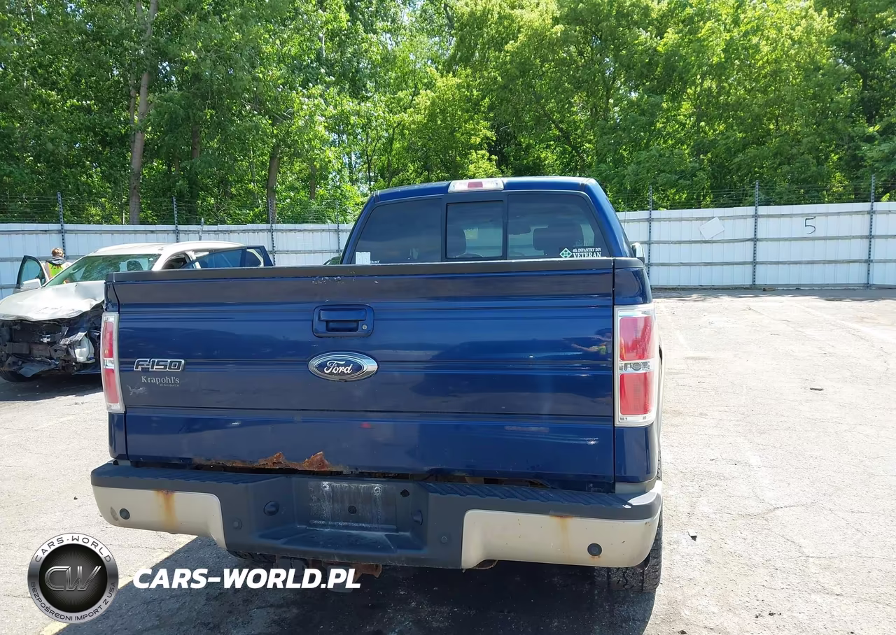 2009 Ford F-150 Fx4-King Ranch-Lariat-Platinum-Xl-Xlt VIN:1FTPW14V39FB47433 - 16