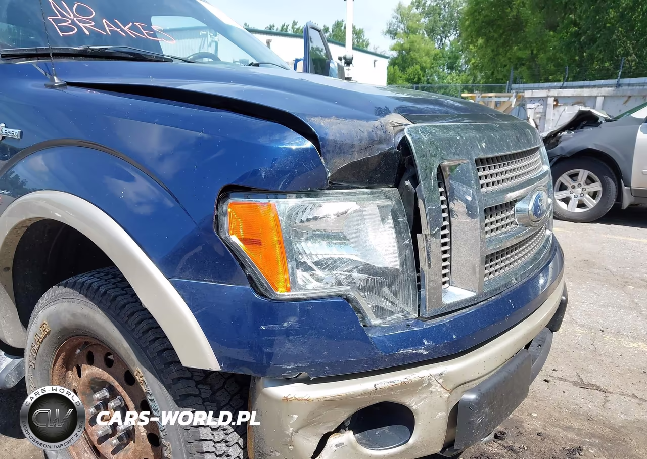 2009 Ford F-150 Fx4-King Ranch-Lariat-Platinum-Xl-Xlt VIN:1FTPW14V39FB47433 - 17