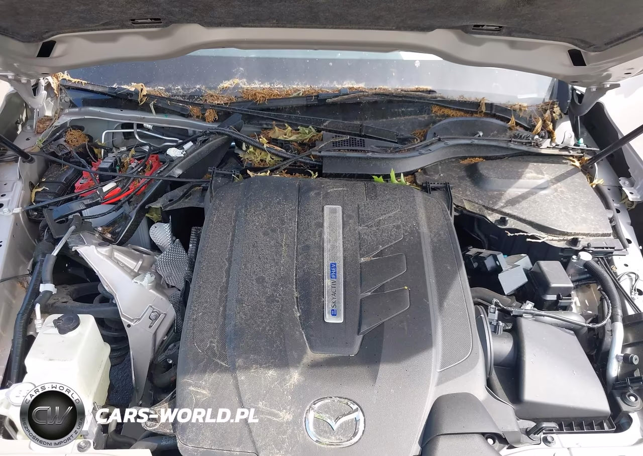 2025 Mazda Cx-90 Phev Preferred Package VIN:JM3KKBHAXS1248854 - 10