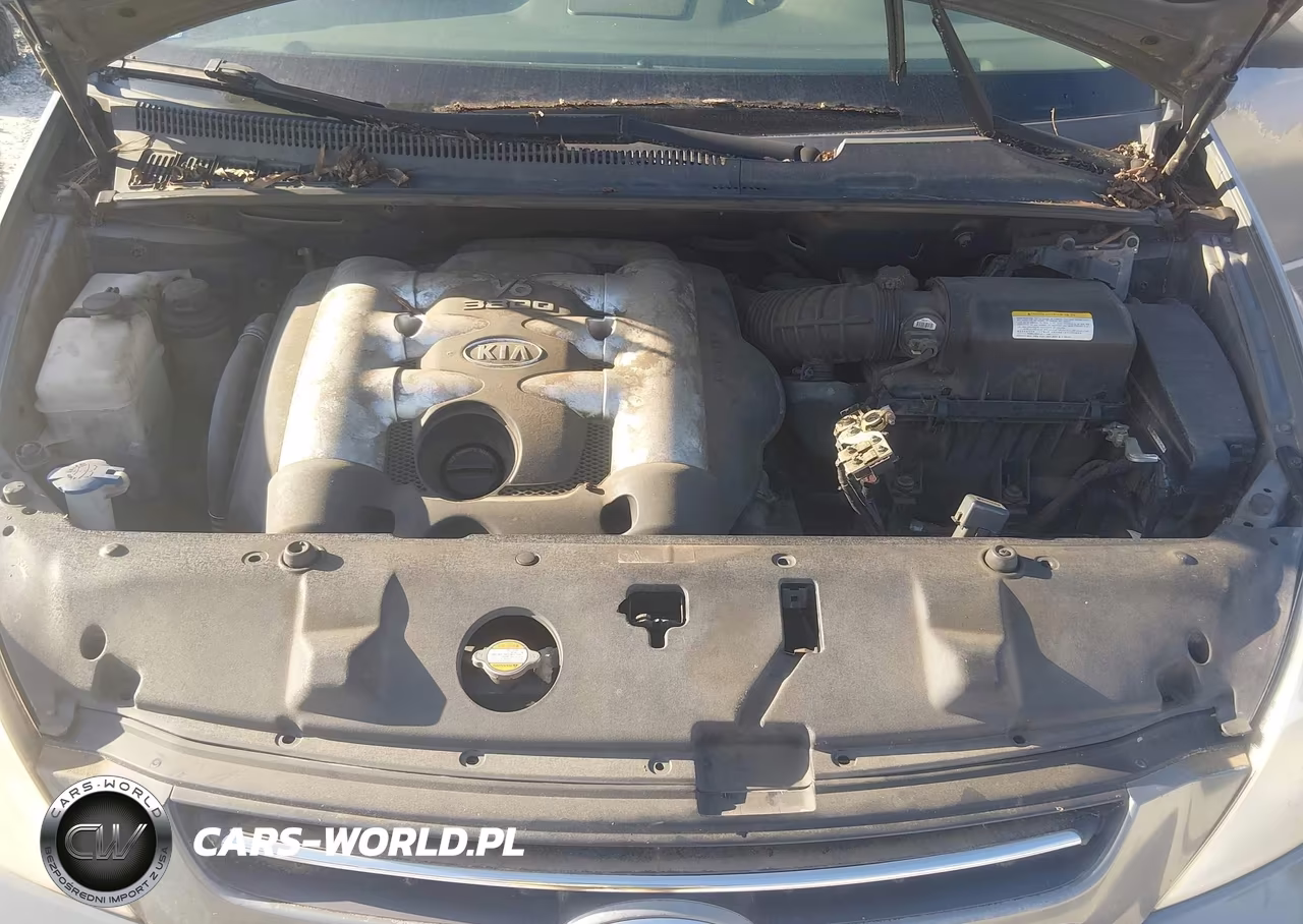 2006 Kia Sedona Ex-Lx VIN:KNDMB233066028223 - 10