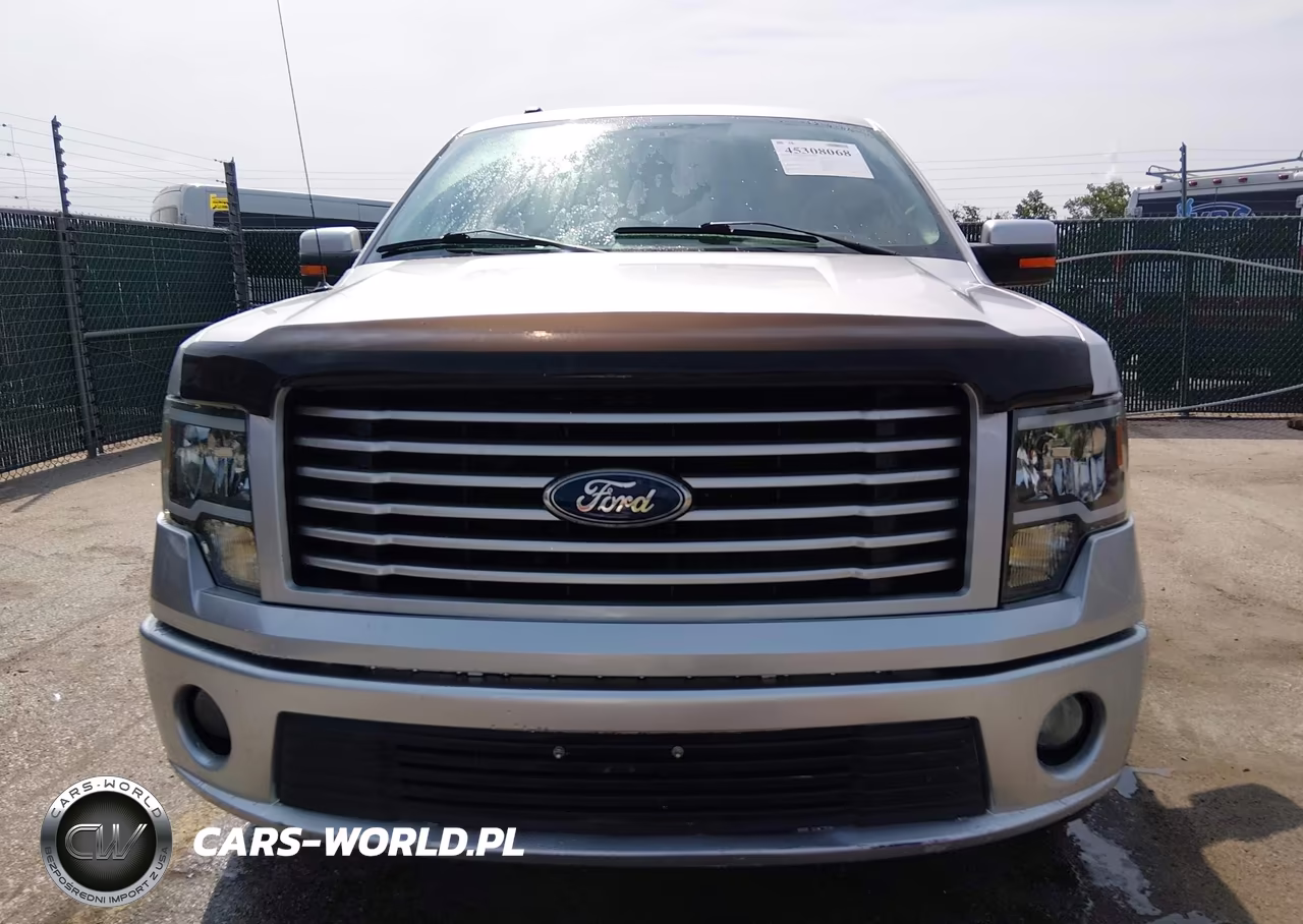 2011 Ford F-150 Harley-Davidson VIN:1FTFW1E61BFA54385 - 12