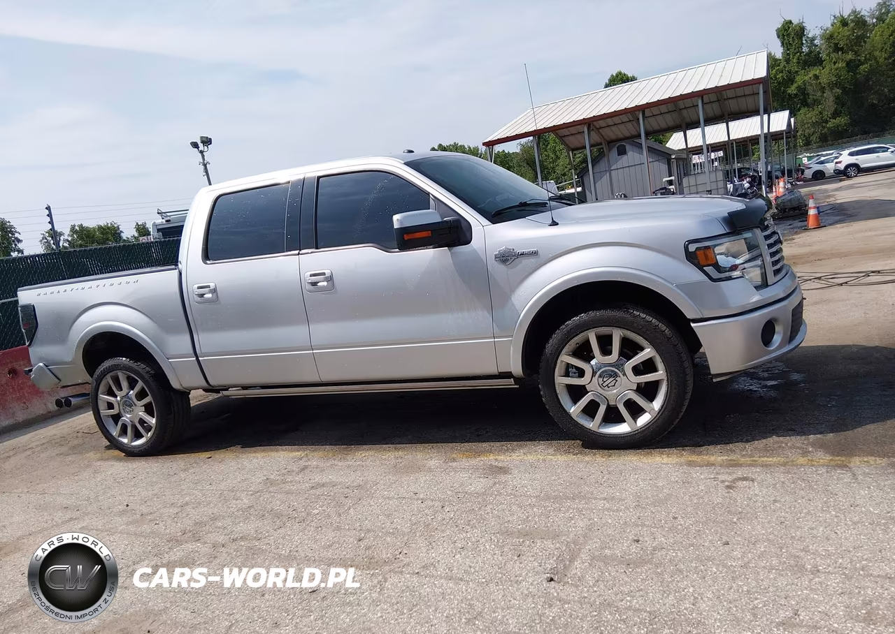 2011 Ford F-150 Harley-Davidson VIN:1FTFW1E61BFA54385 - 13