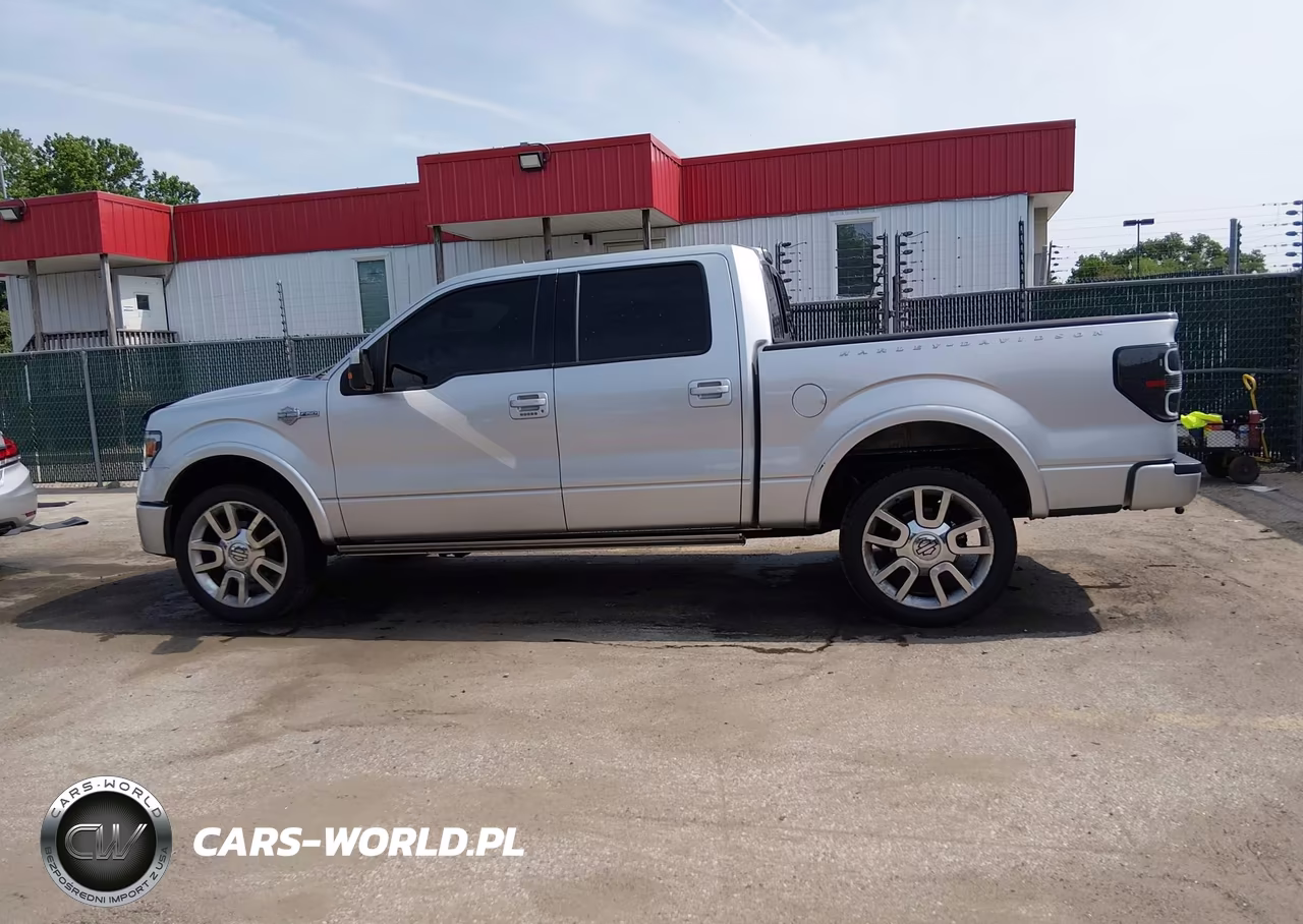 2011 Ford F-150 Harley-Davidson VIN:1FTFW1E61BFA54385 - 14